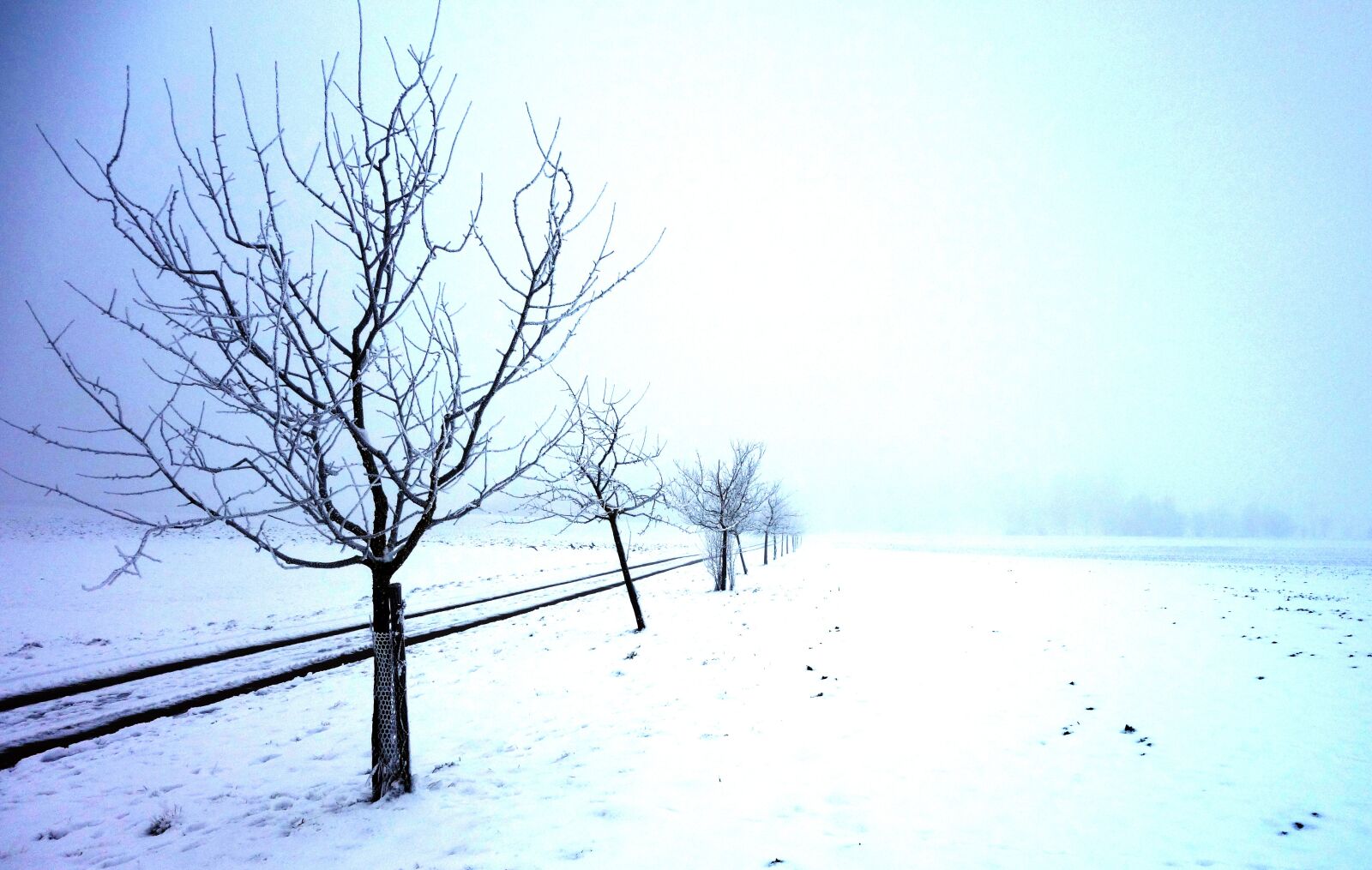 Sony Cyber-shot DSC-RX100 sample photo. Winter, landscape, nature photography