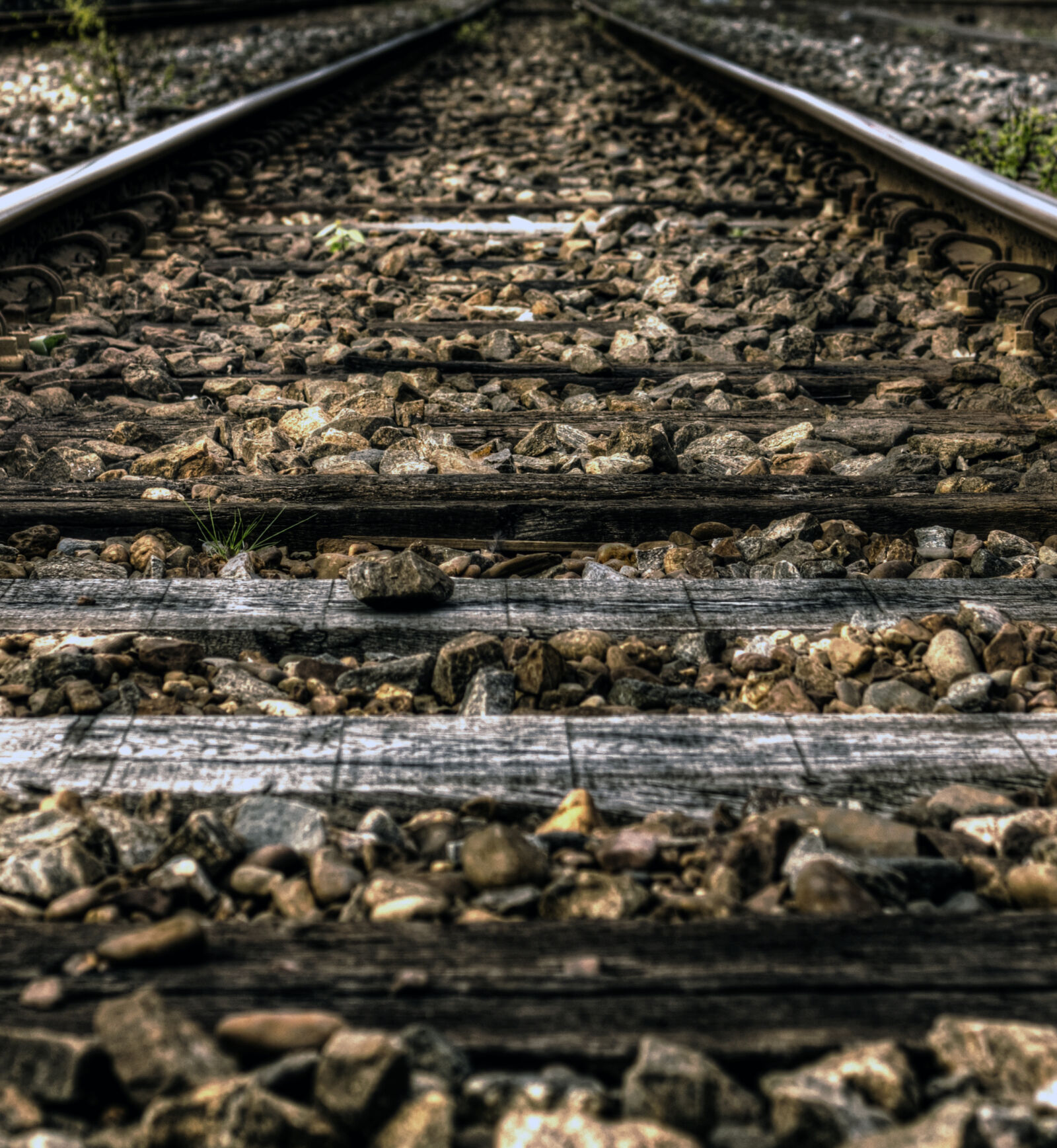 Sony DT 35mm F1.8 SAM sample photo. Rails, train, path, way photography