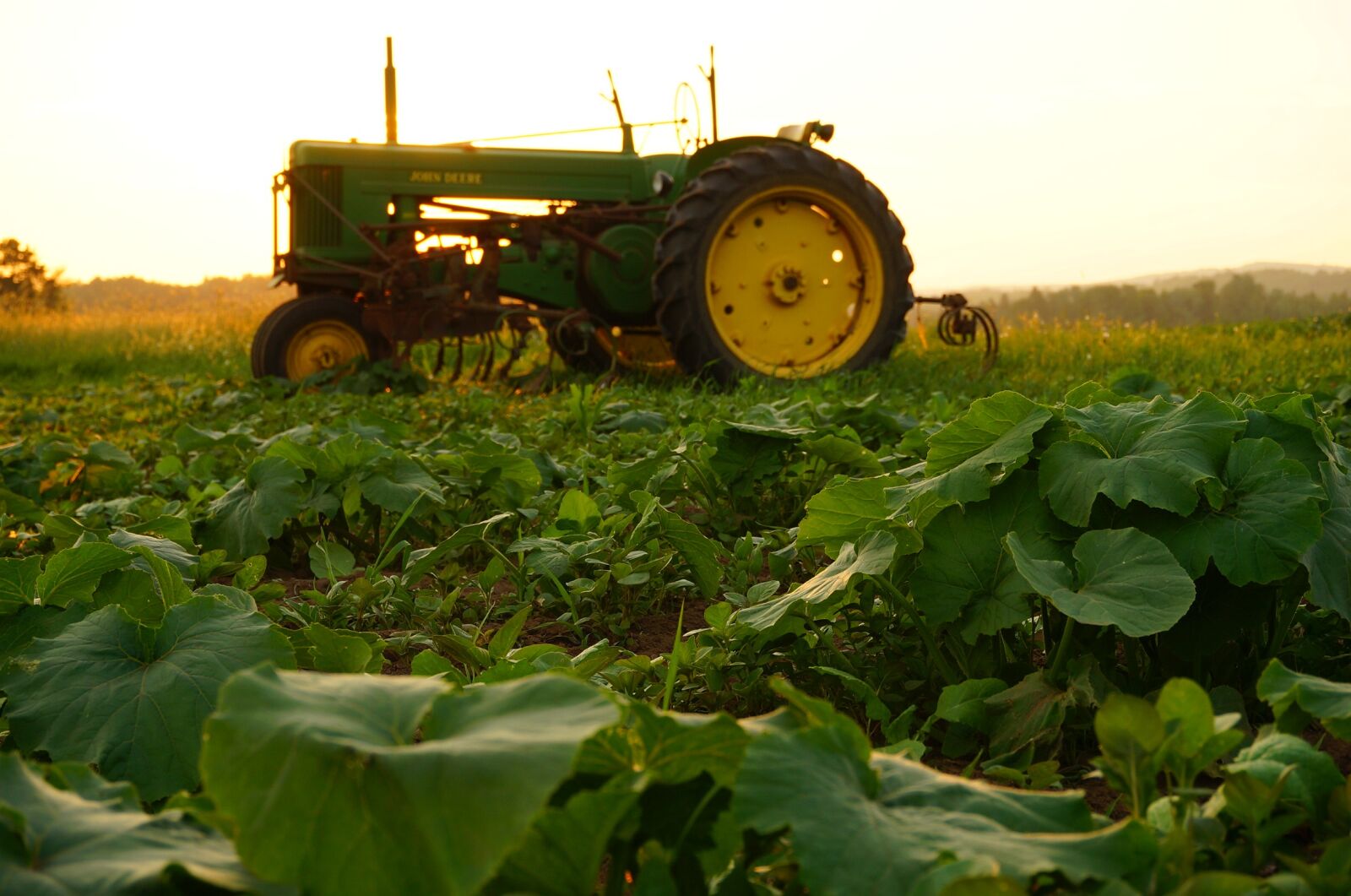 Sony Alpha NEX-3N sample photo. Agriculture, tractor, john deere photography