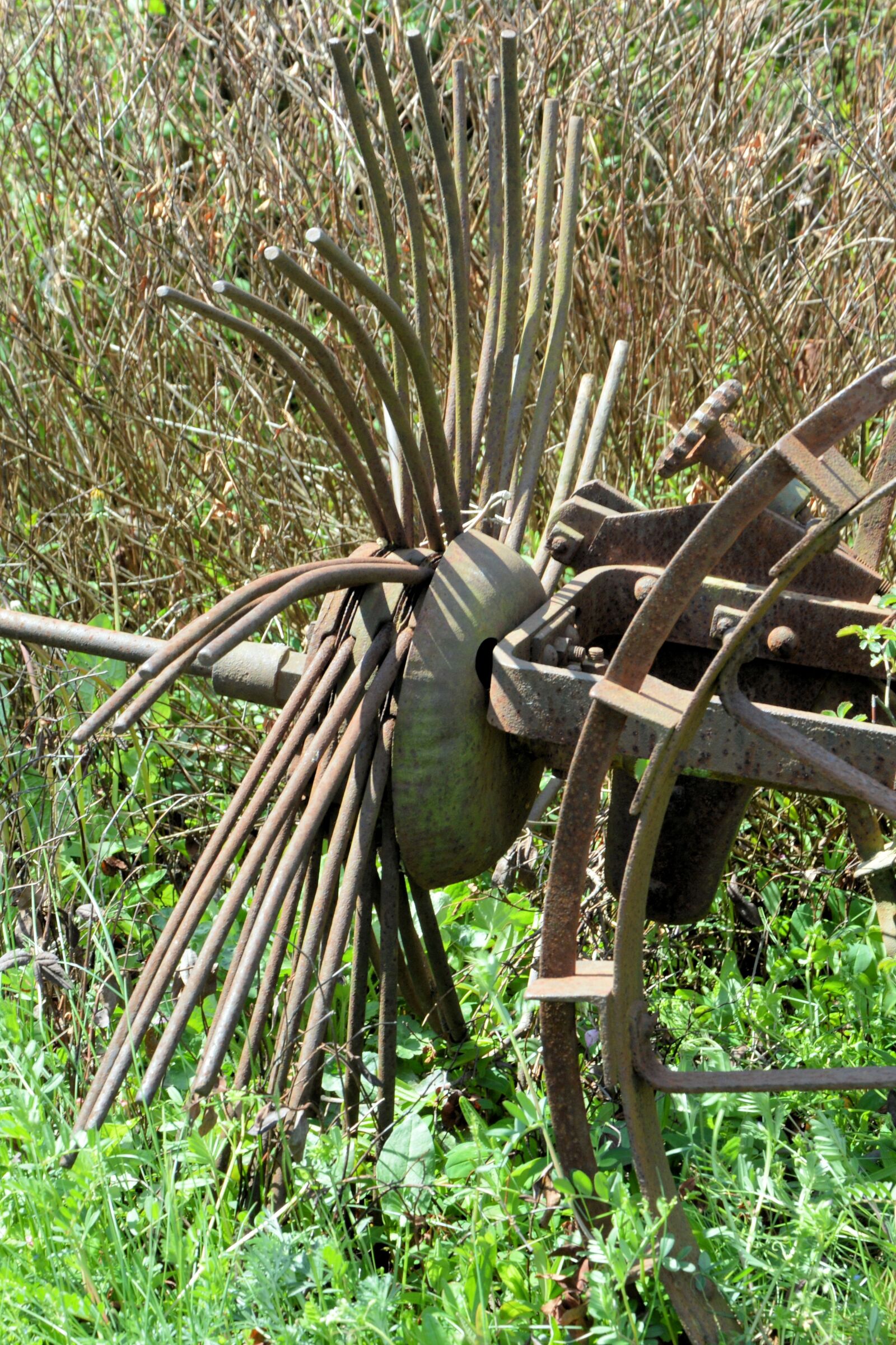Nikon D3200 sample photo. Potato harvester, harvester, historically photography