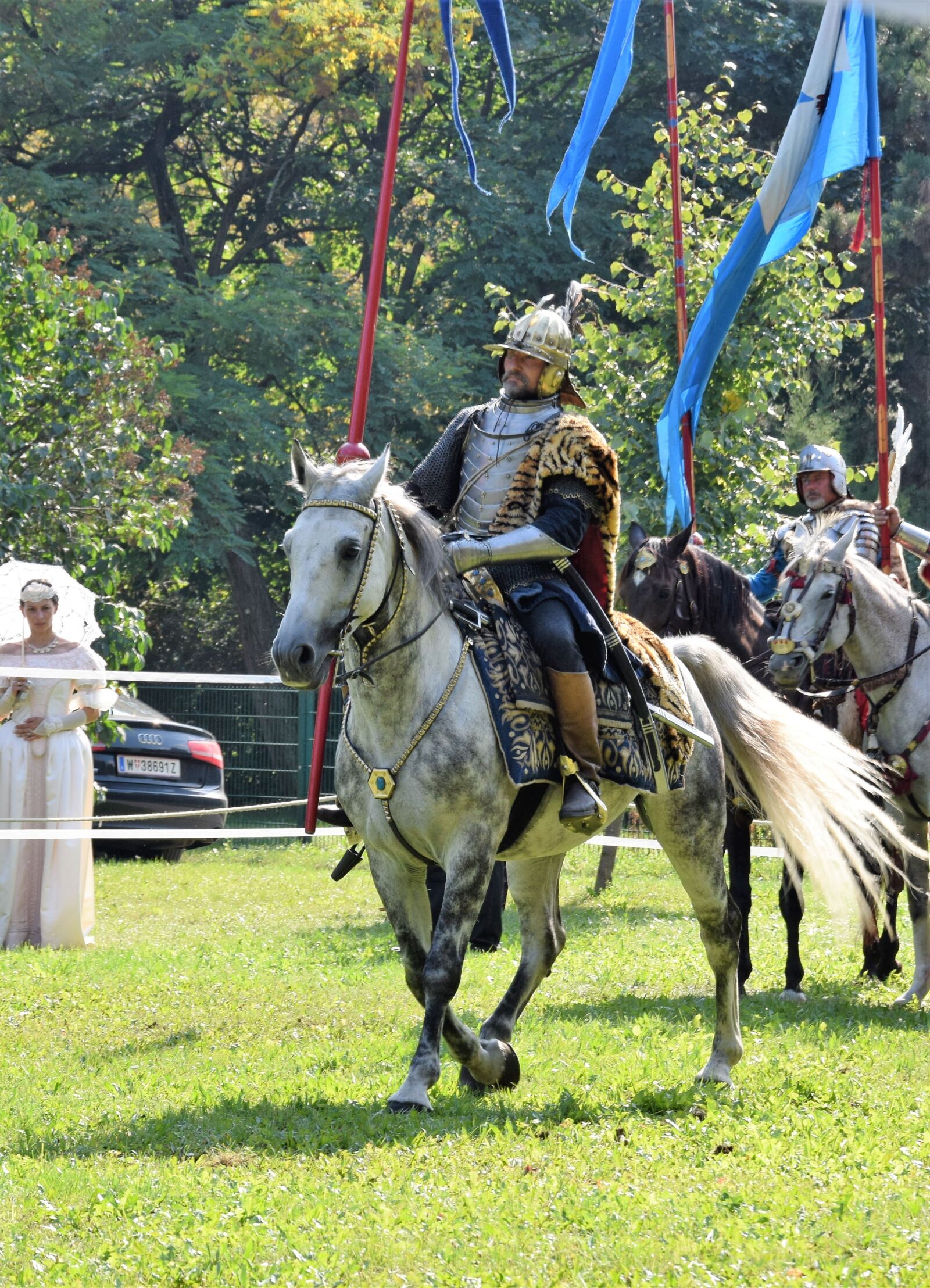 Nikon D3300 sample photo. Sommerfest, knight, attack photography