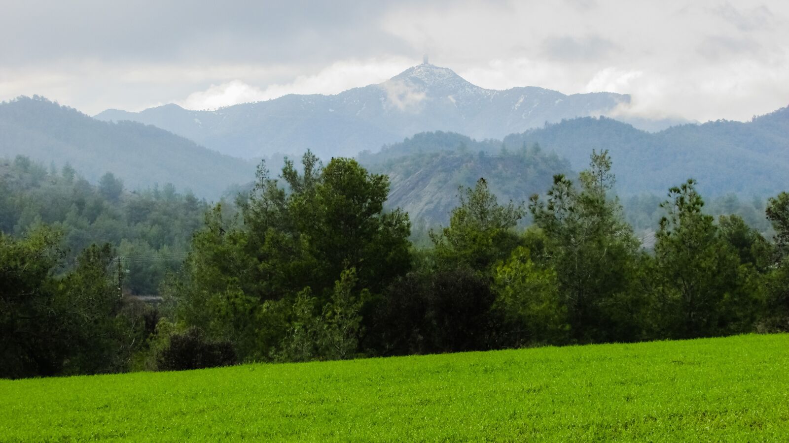 Canon PowerShot SX400 IS sample photo. Meadow, trees, landscape photography