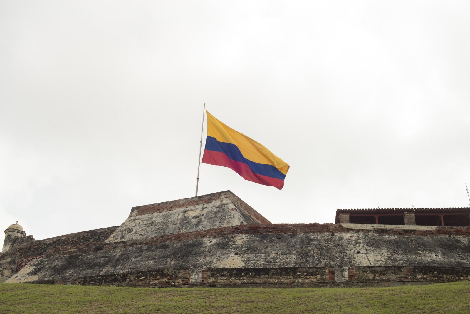 Nikon D800 sample photo. Colombia, flag, strong photography