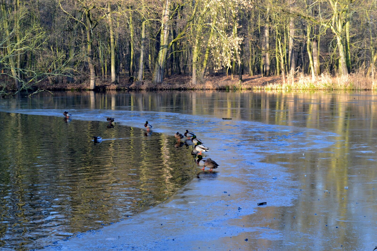 Nikon D3100 sample photo. Water, lake, landscape photography