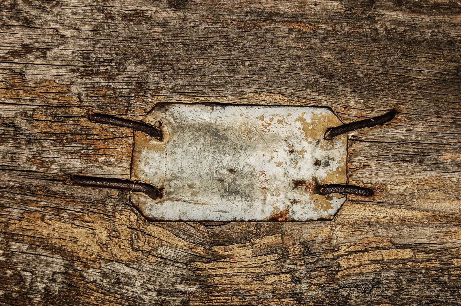 Nikon D40 sample photo. Metal, plate, metal nail photography