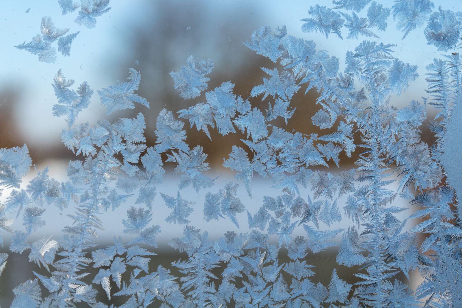 Canon EOS 1300D (EOS Rebel T6 / EOS Kiss X80) sample photo. Leann, frost, window photography