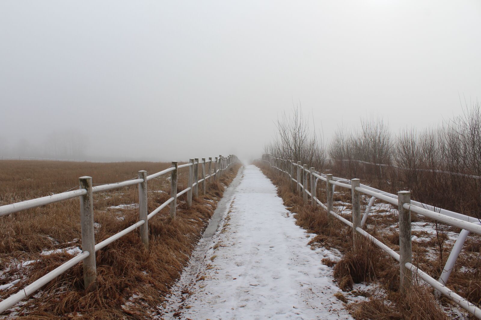 Canon EOS 1200D (EOS Rebel T5 / EOS Kiss X70 / EOS Hi) sample photo. Fence, perspective, nature photography