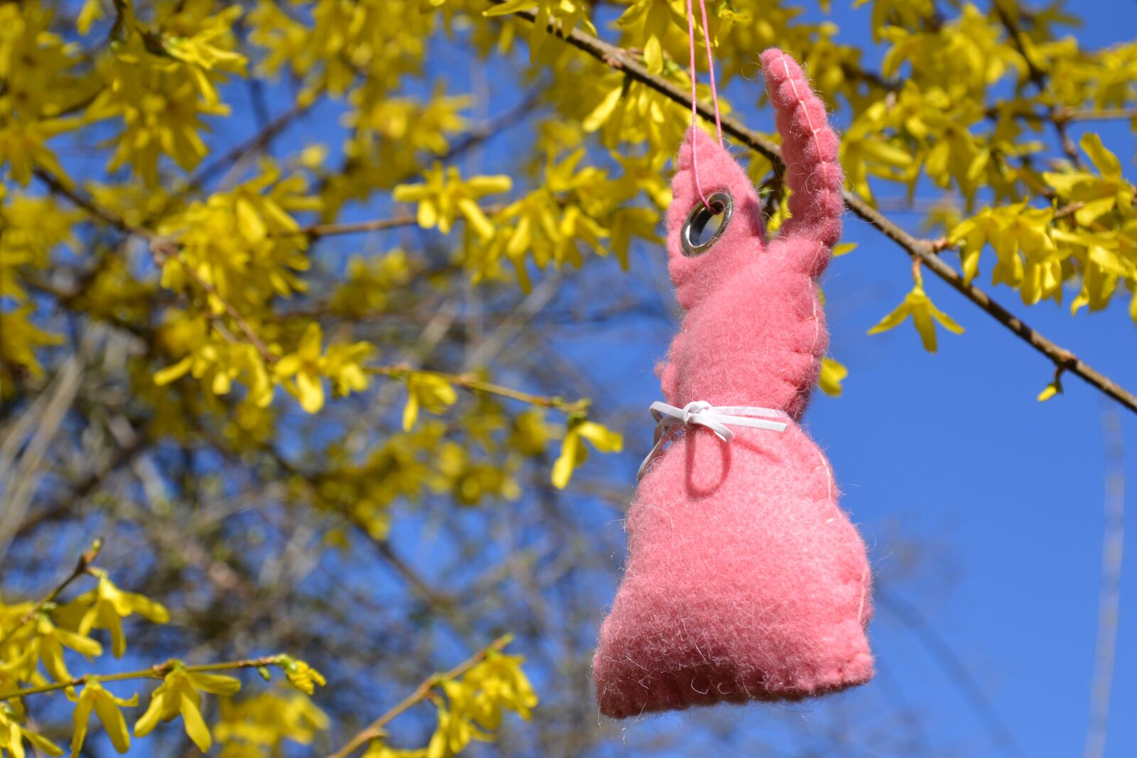 Nikon D3100 sample photo. Rabbit ears, easter bunny photography