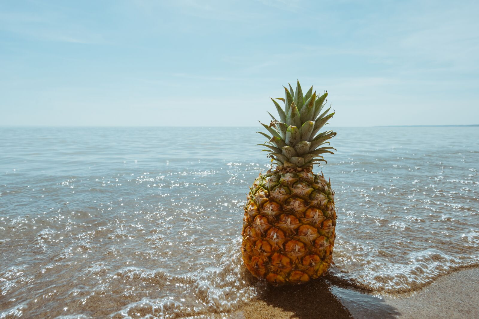 Sony a7 II + Sony Vario-Tessar T* FE 16-35mm F4 ZA OSS sample photo. Beach, coast, fruit photography