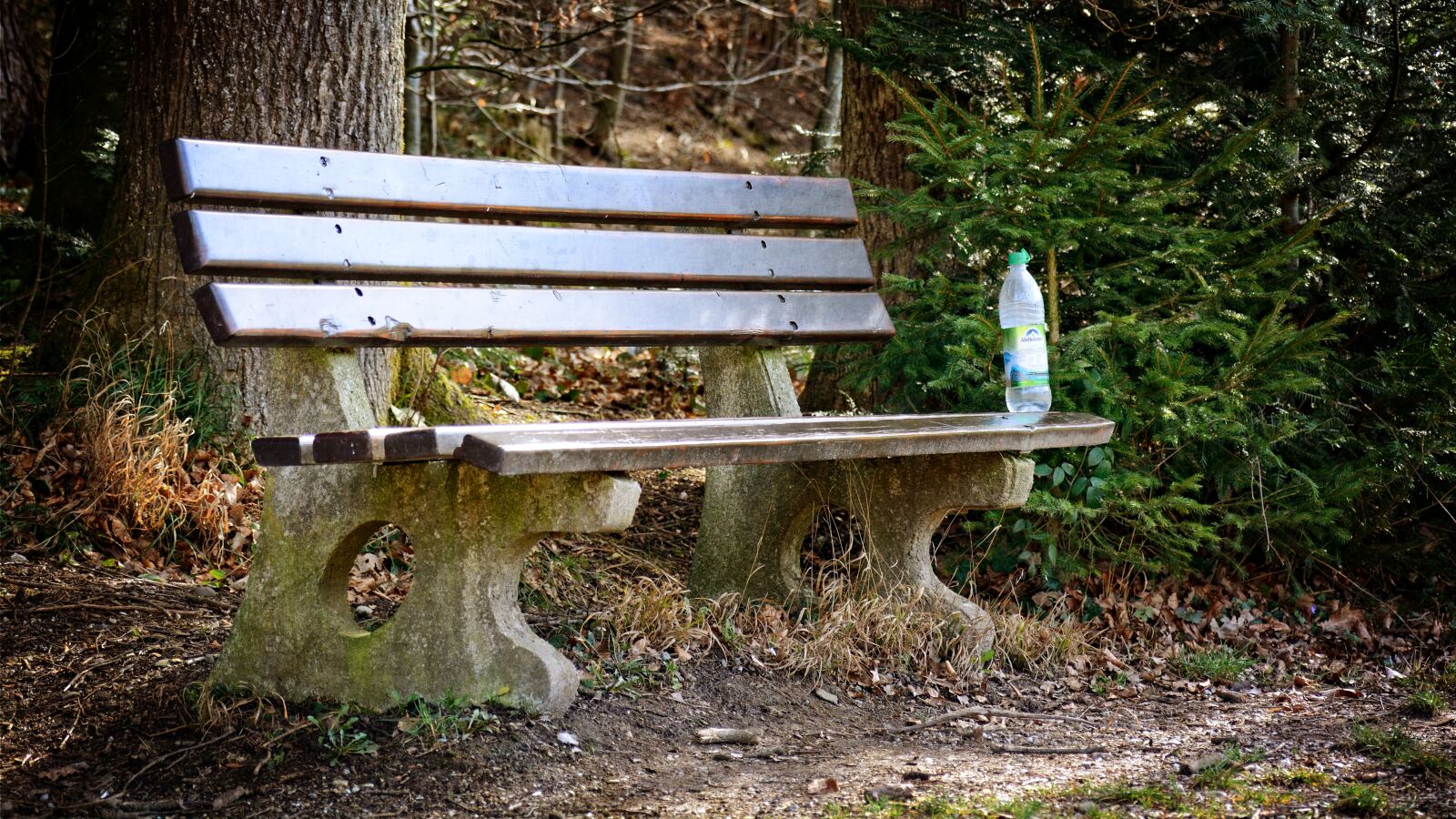 Nikon D7100 sample photo. Bench, bank, seat photography