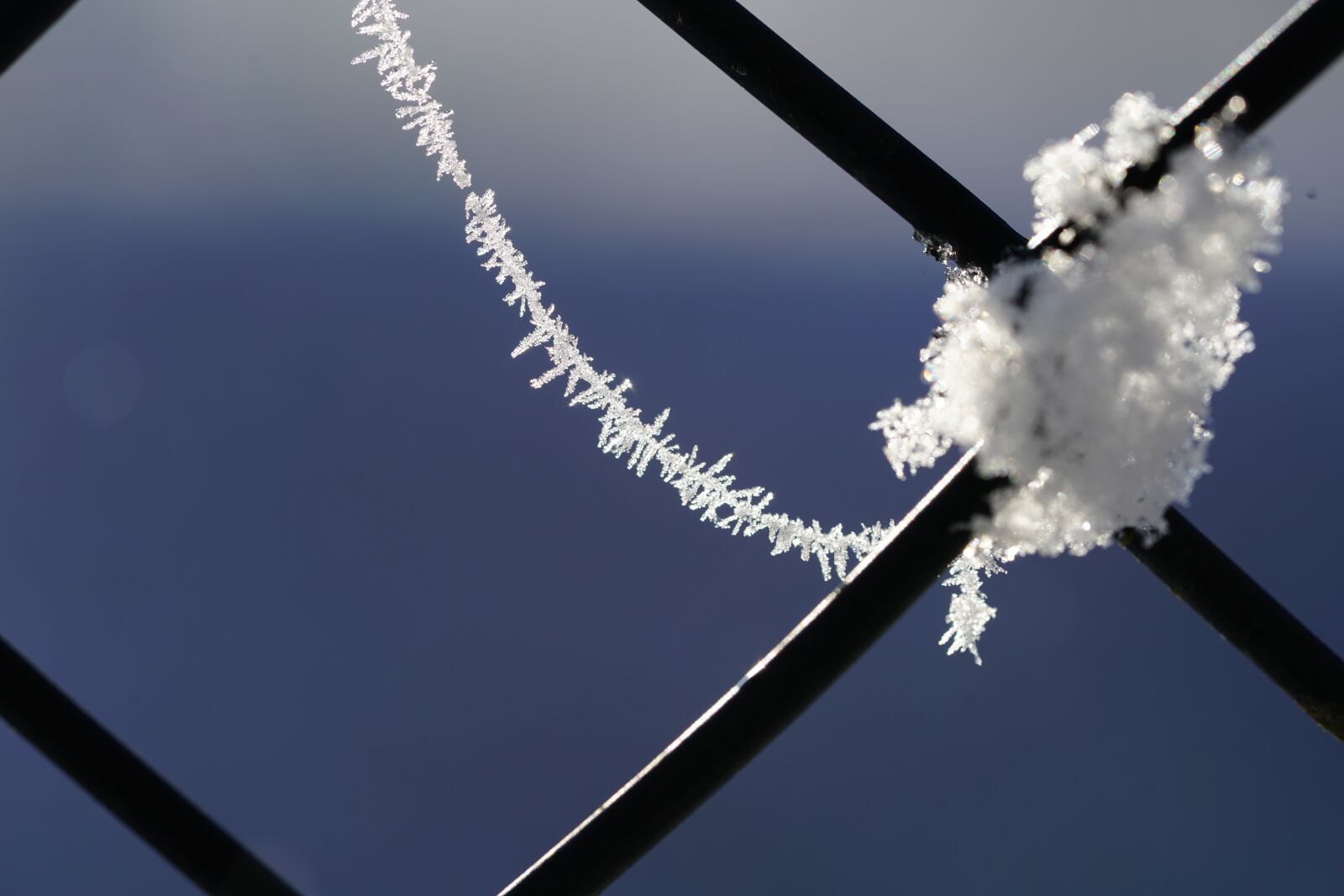 Sony a7R II + Sony FE 90mm F2.8 Macro G OSS sample photo. Spinnwebfaden, hoarfrost, eiskristalle photography