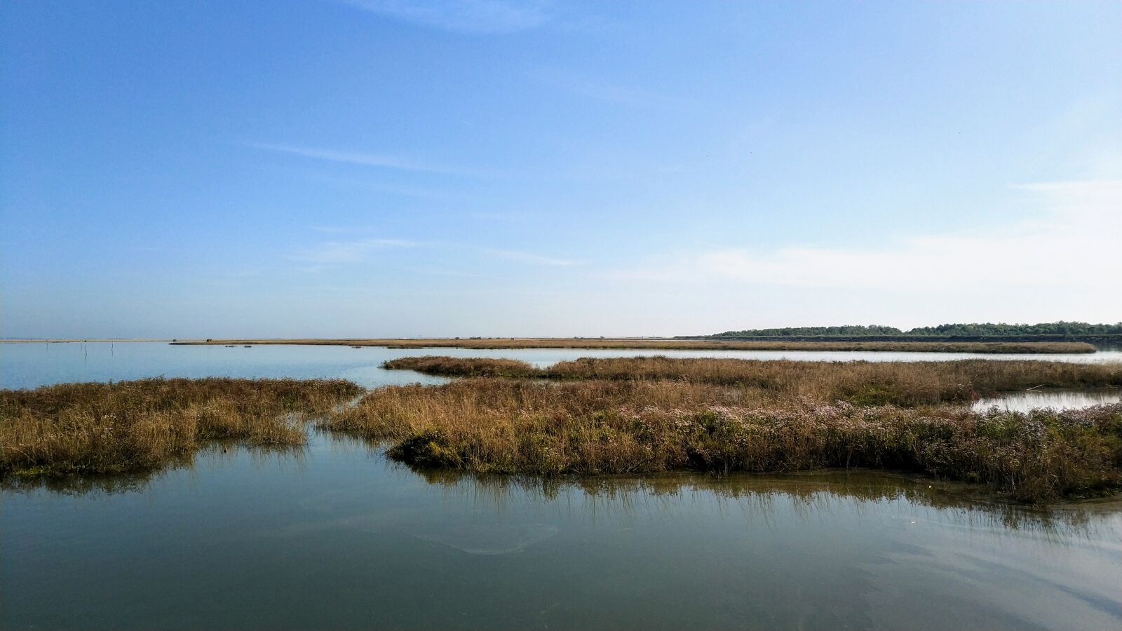 Xiaomi Mi MIX 2 sample photo. Nature, lagoon, marsh photography