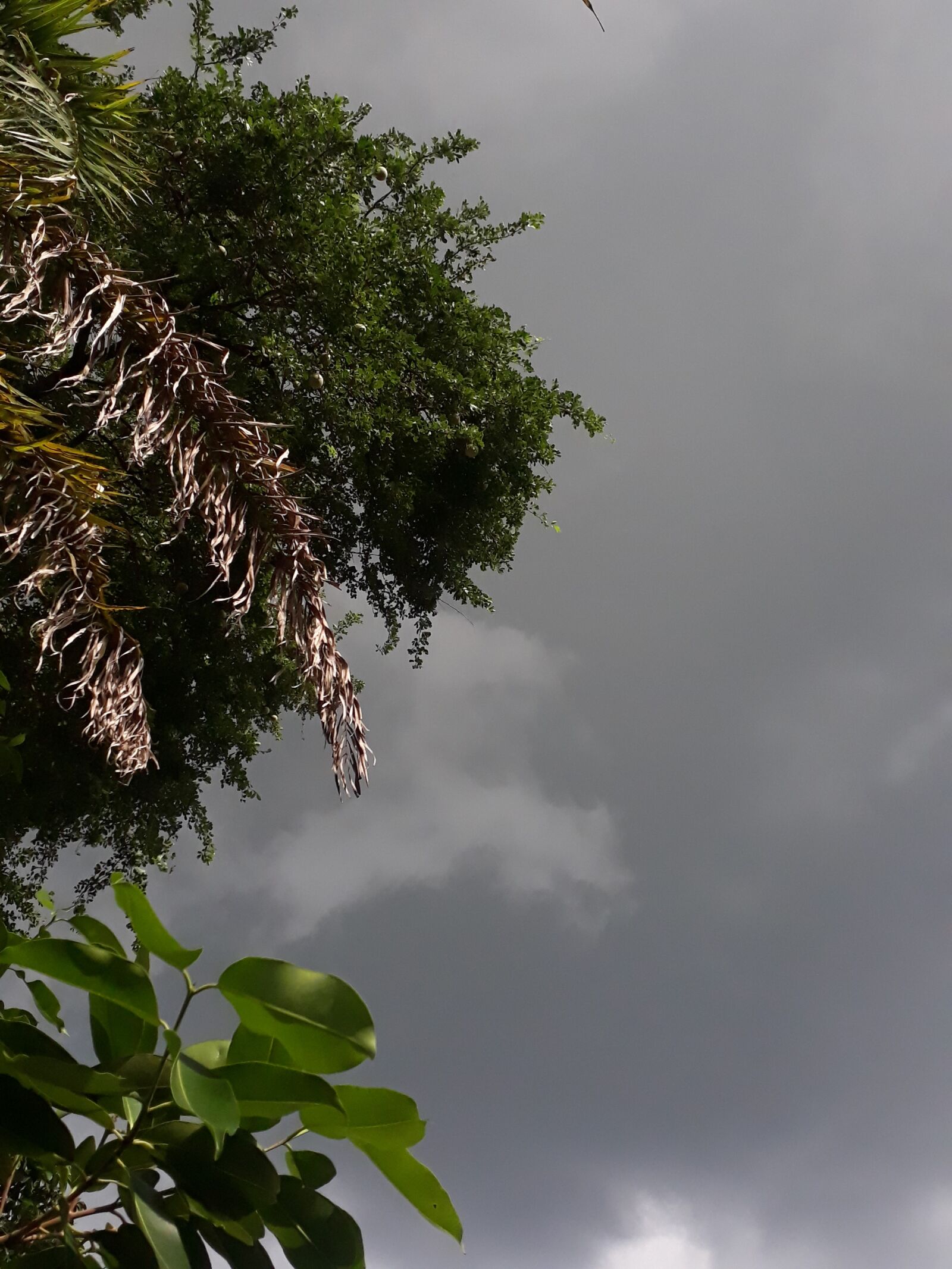 Samsung Galaxy J7 Prime2 sample photo. Cloud, rain, weather photography