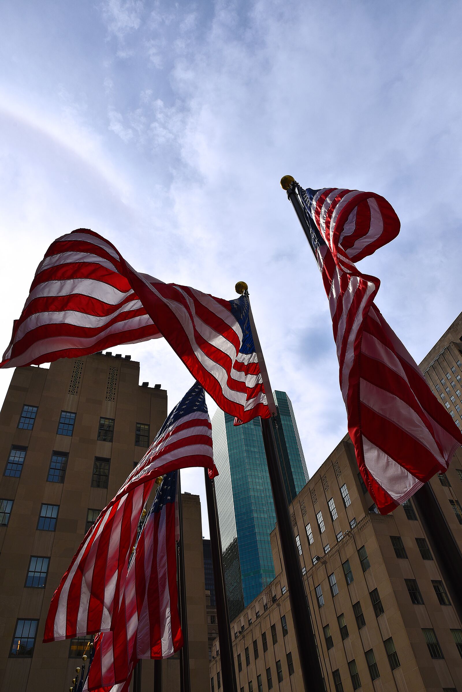 Nikon D750 sample photo. Flag, patriotism, administration photography