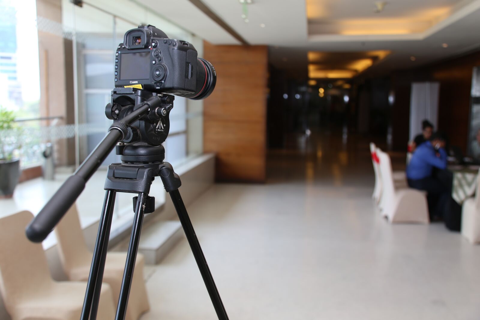 Canon EOS 6D + Canon EF 24-105mm F4L IS USM sample photo. Video, photography, camera photography