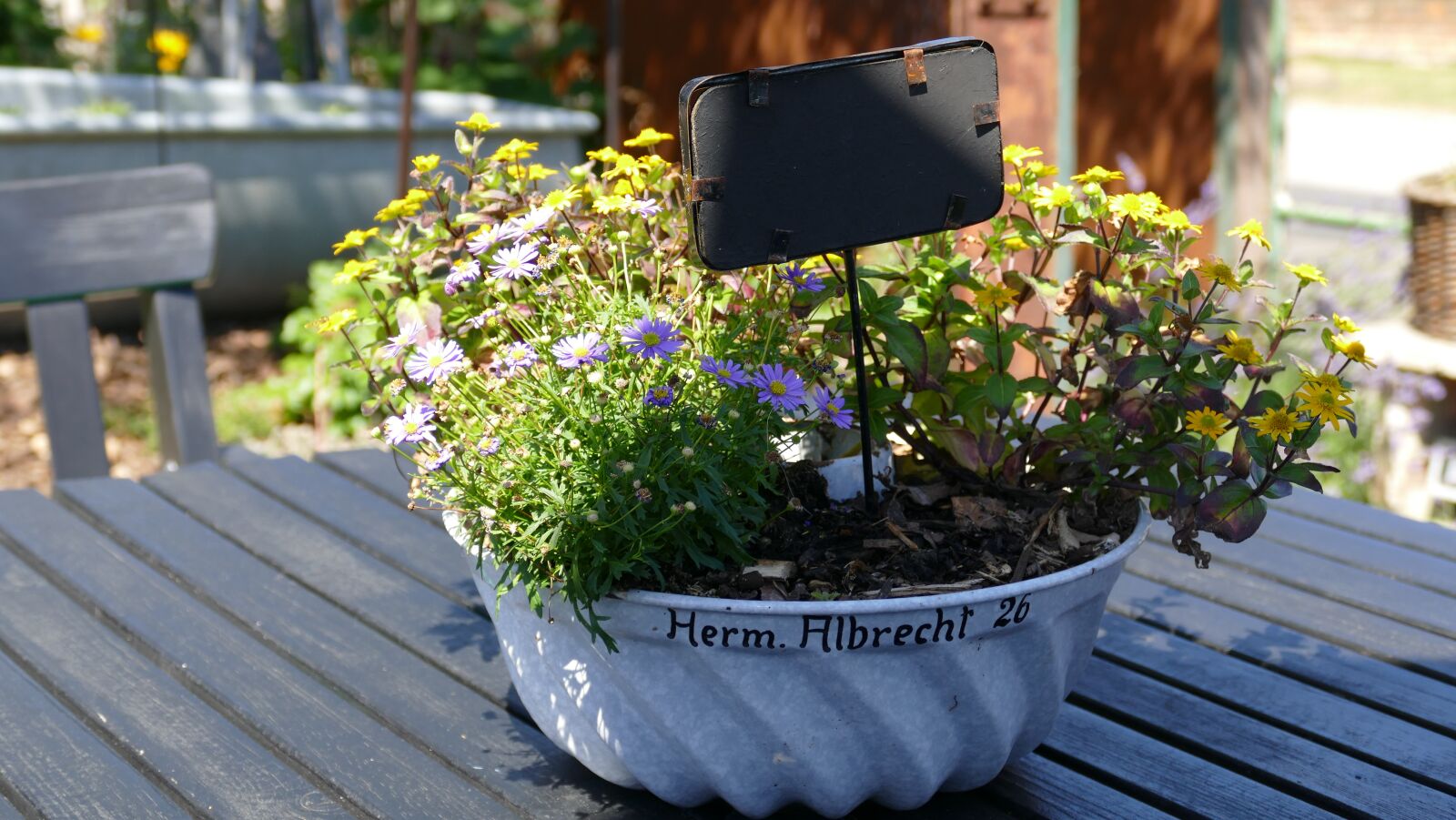Leica V-Lux (Typ 114) sample photo. Flower bowl, decoration, garden photography