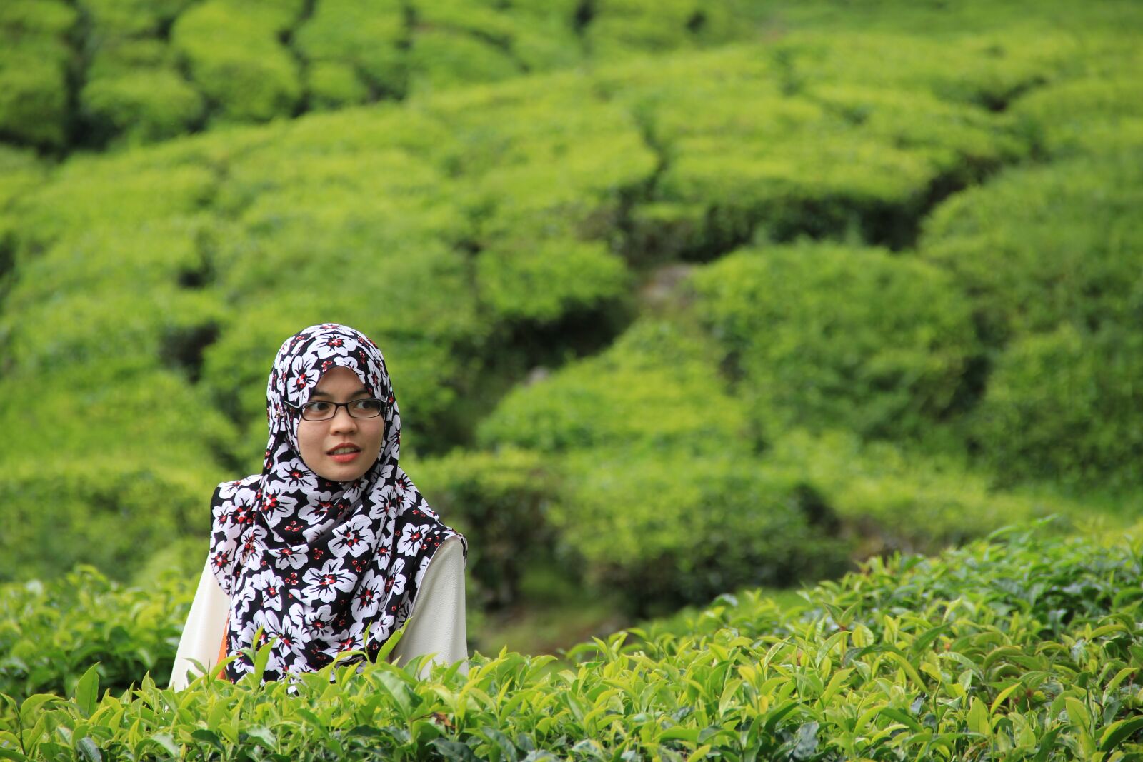 Canon EOS 550D (EOS Rebel T2i / EOS Kiss X4) sample photo. Tea, woman, hijab photography