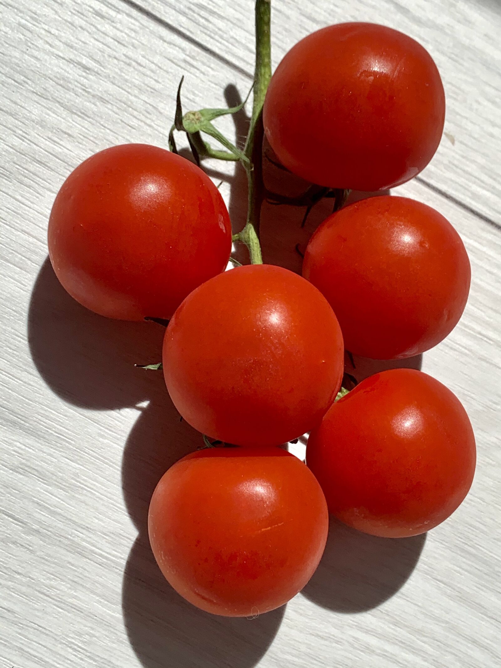 Apple iPhone XS sample photo. Tomato, sunny, vegetable photography