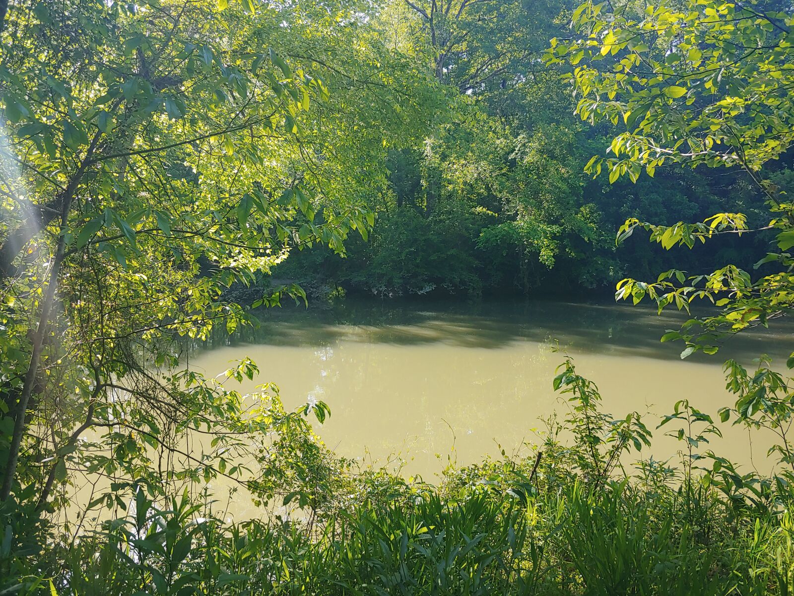 LG G7 THINQ sample photo. River, nature, landscape photography