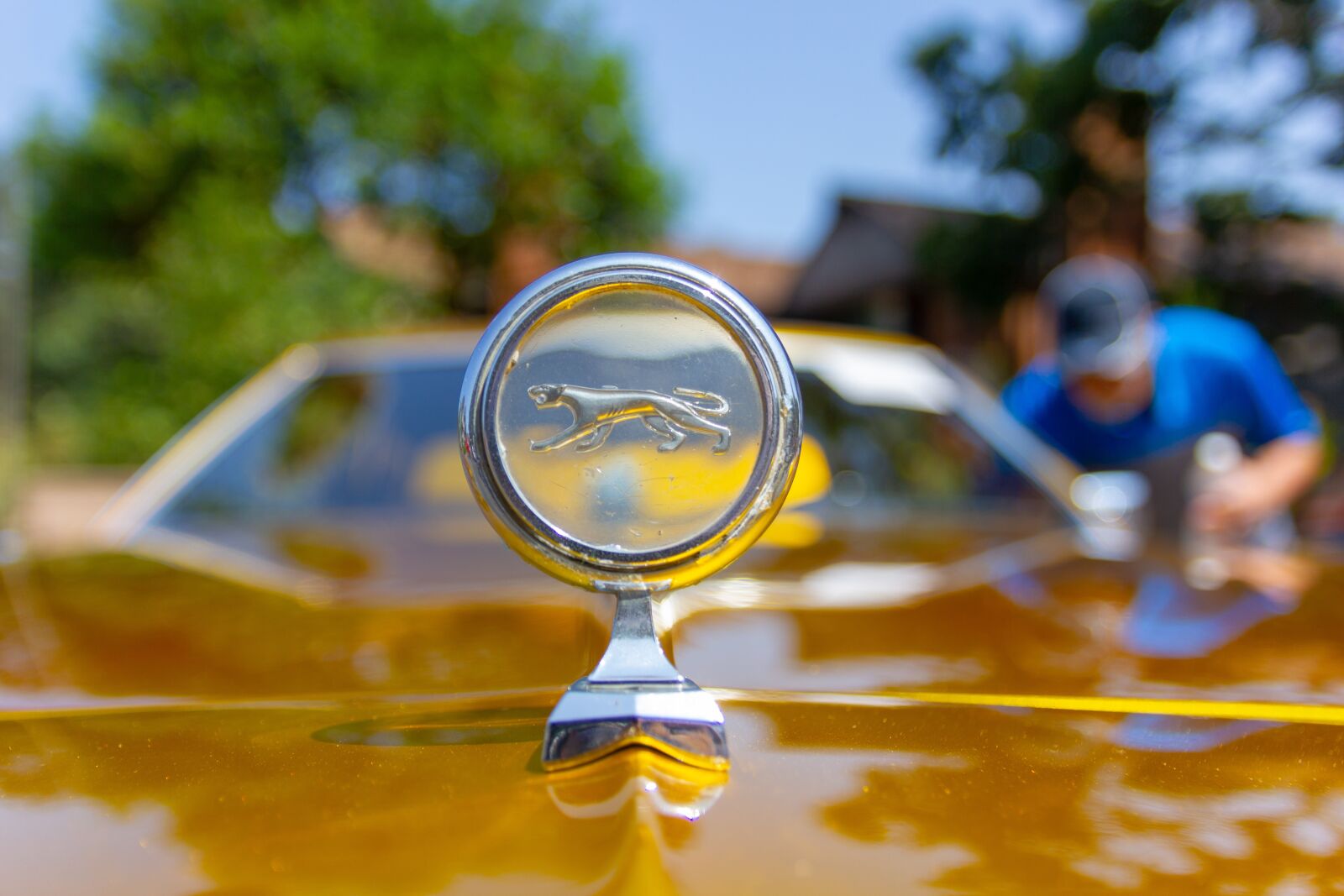 Canon EOS 550D (EOS Rebel T2i / EOS Kiss X4) sample photo. Cougar xr, car, old photography