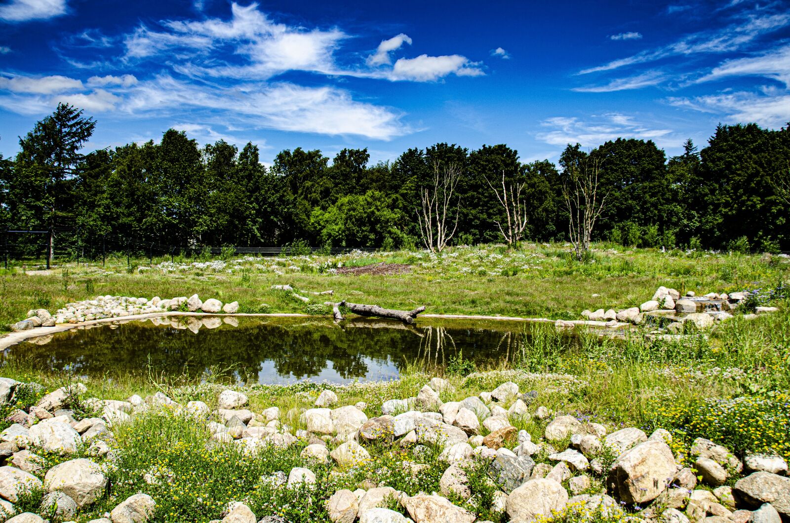 Nikon D5100 sample photo. Nature, rocks, the nature photography