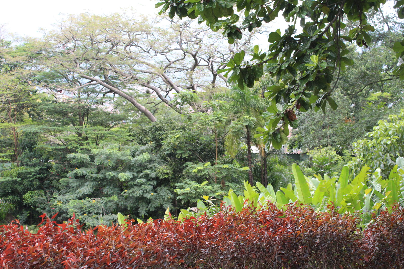 Canon EOS 1300D (EOS Rebel T6 / EOS Kiss X80) sample photo