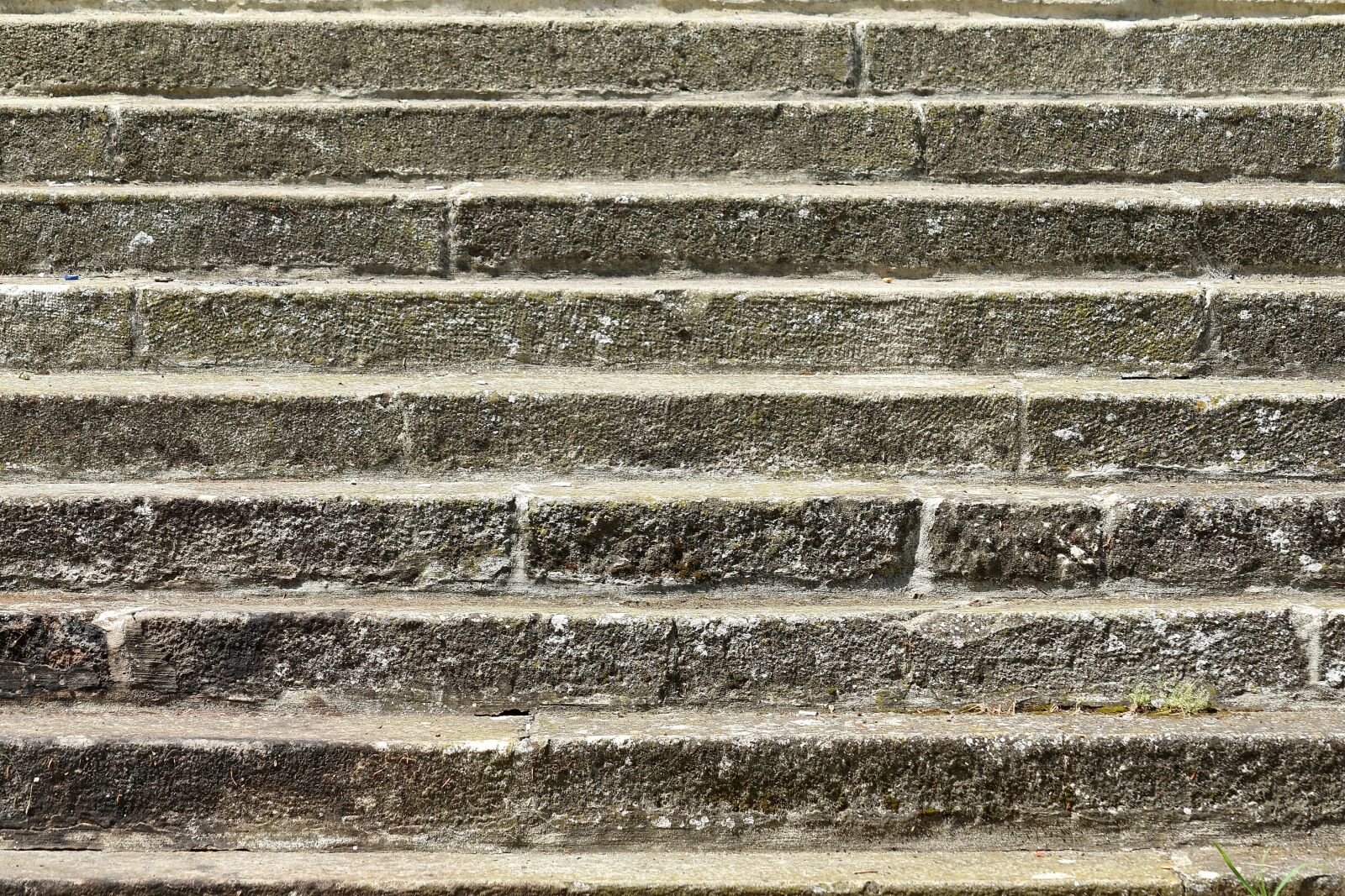 Nikon D5500 sample photo. Stairs, pattern, surface, old photography