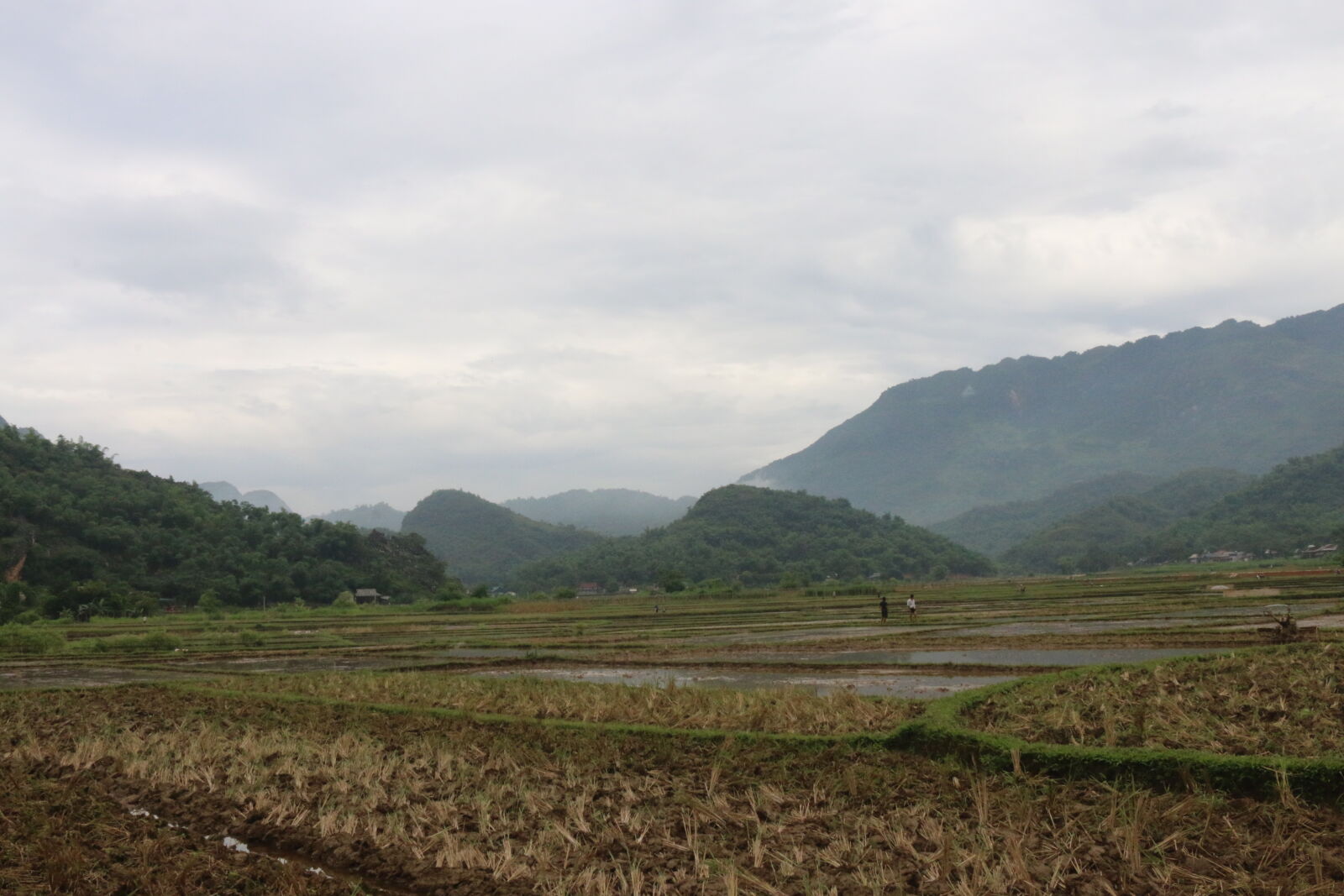 Canon EOS 70D sample photo