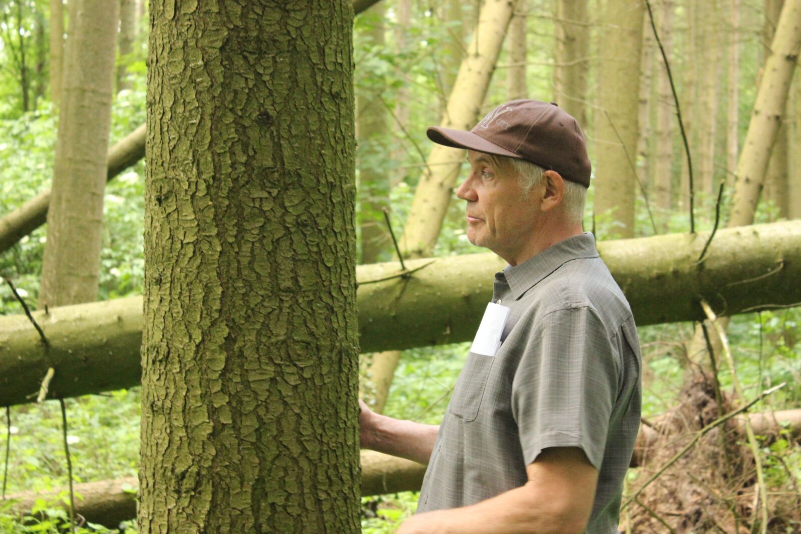 Canon EOS 600D (Rebel EOS T3i / EOS Kiss X5) sample photo. Waldsterben, farmer in the photography