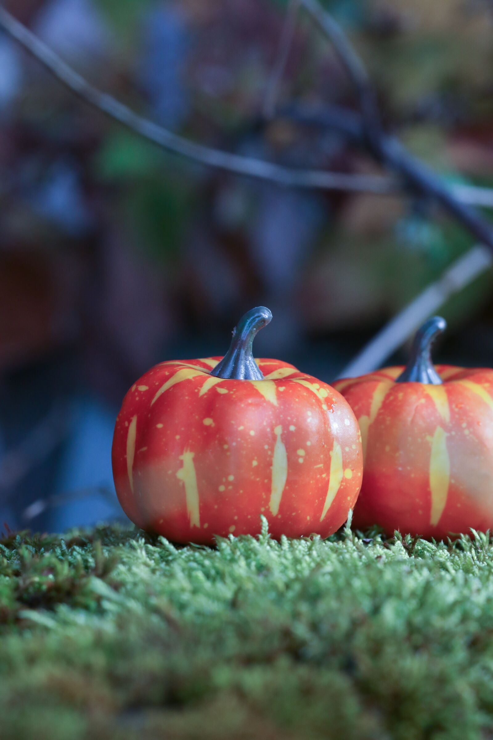 Canon EOS 7D Mark II sample photo. Pumkin, decoration, autumn photography
