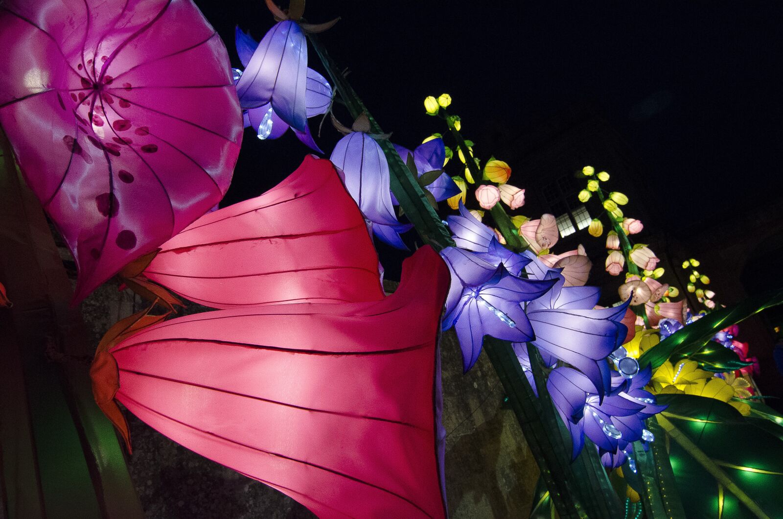 Nikon D7000 sample photo. Lights, lanterns, illuminated photography