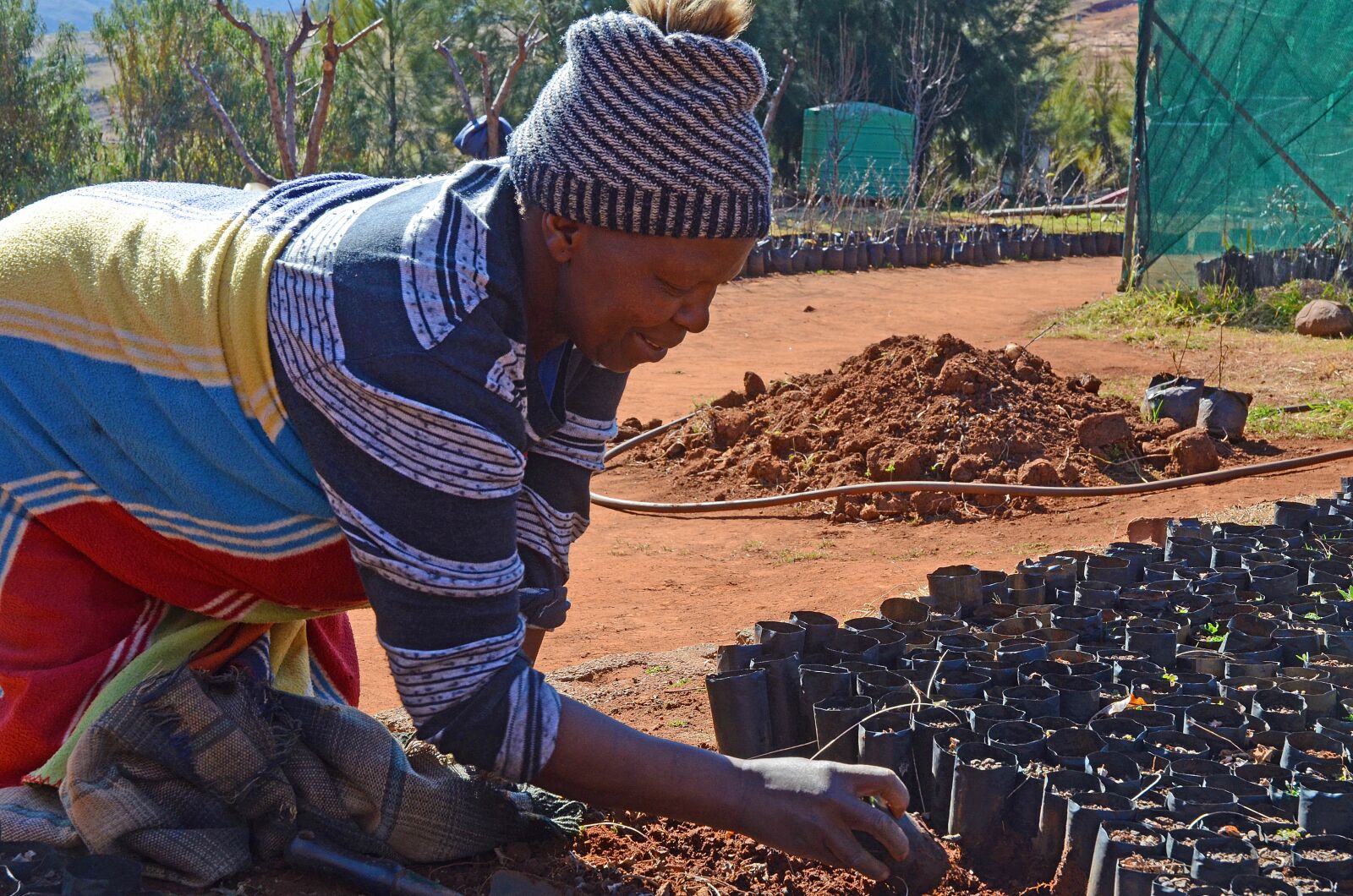 Nikon D7000 sample photo. Lesotho, work, horticulture photography