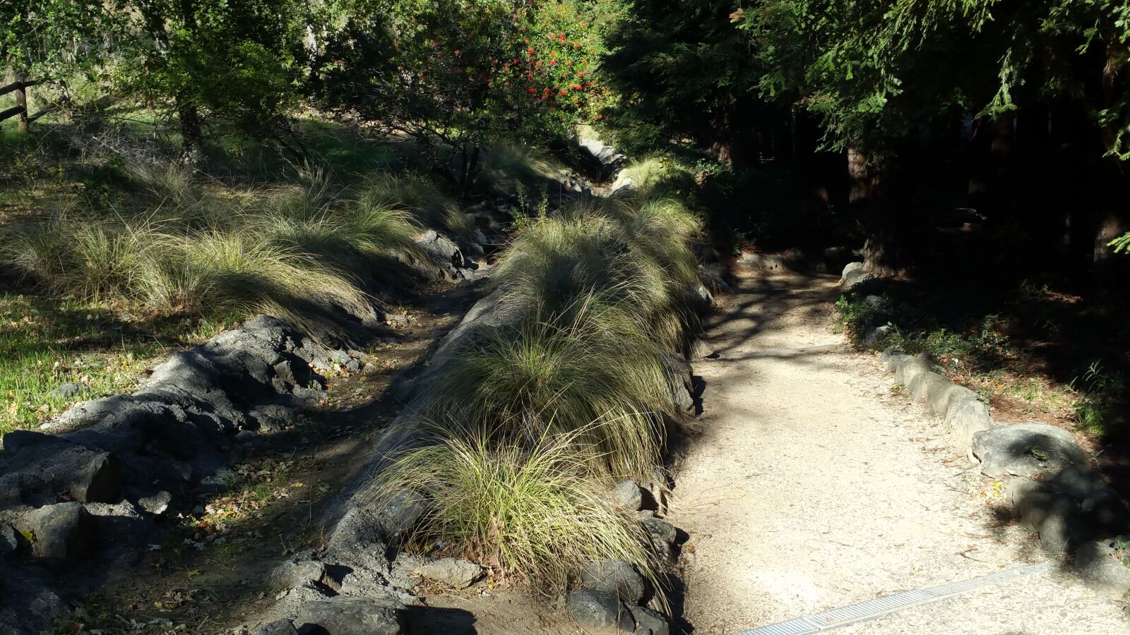 Samsung Galaxy Note4 sample photo. Grass, path, shade, trees photography