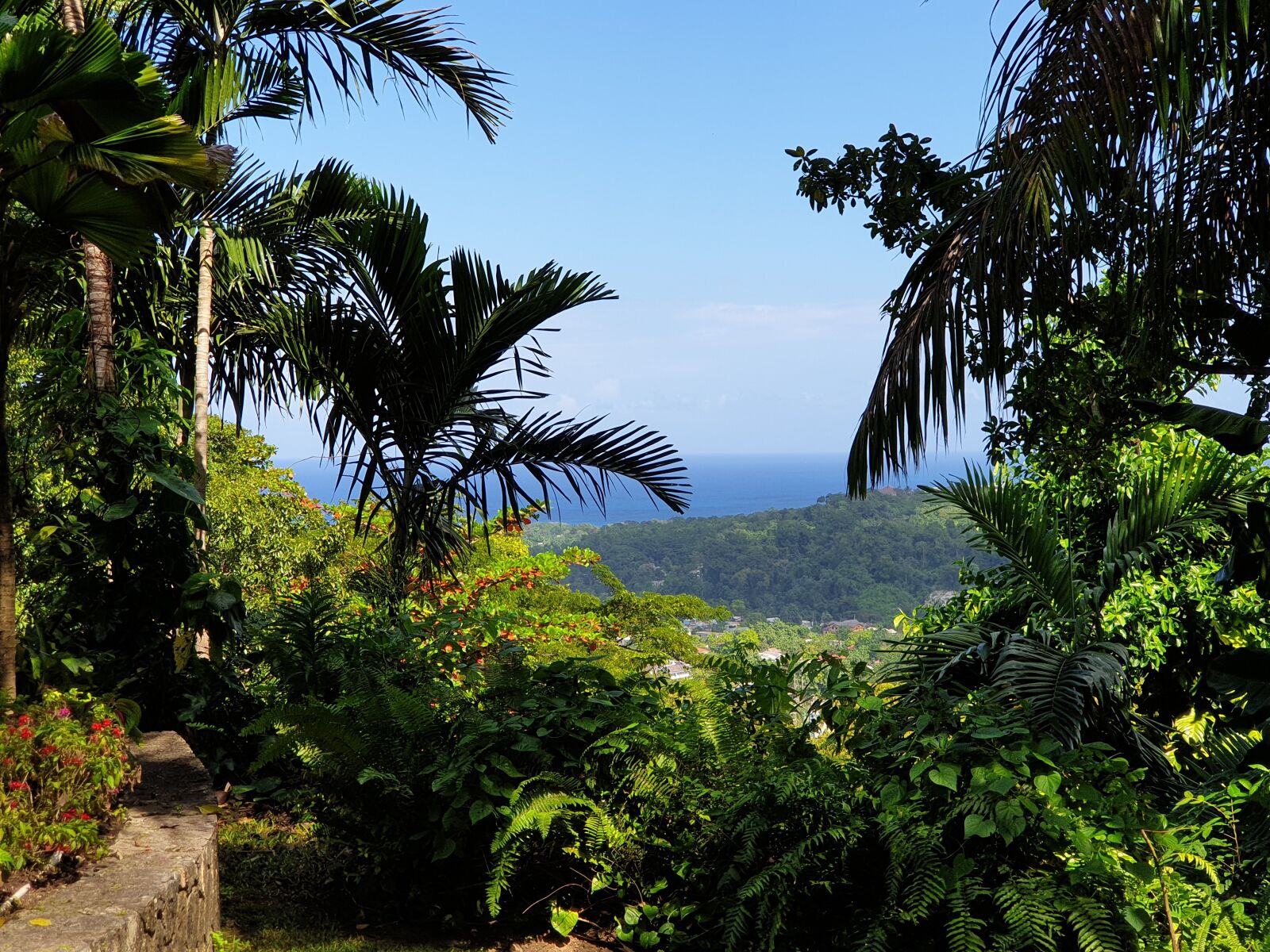 Samsung Galaxy S9+ sample photo. Ocho rios, jamaica, caribbean photography