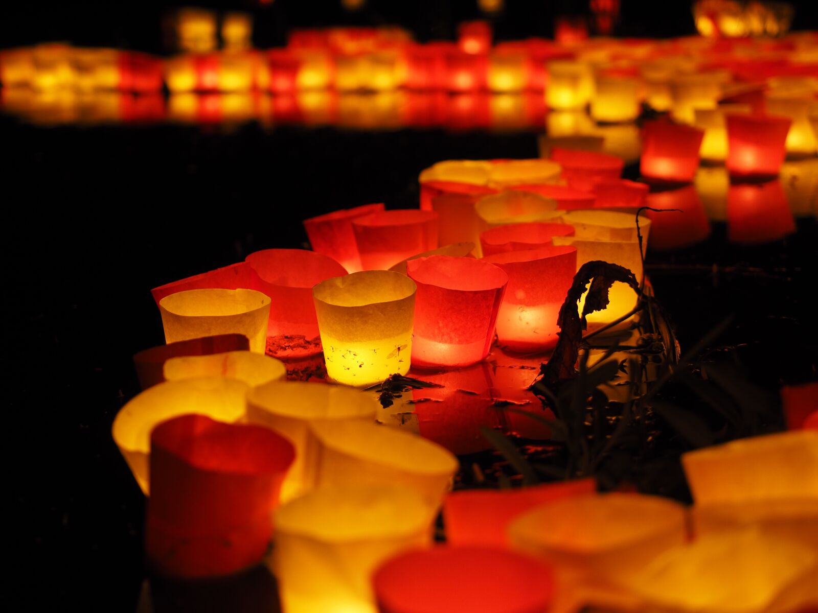 Olympus OM-D E-M1 + Olympus M.Zuiko Digital ED 12-40mm F2.8 Pro sample photo. Floating candles, candles, lights photography