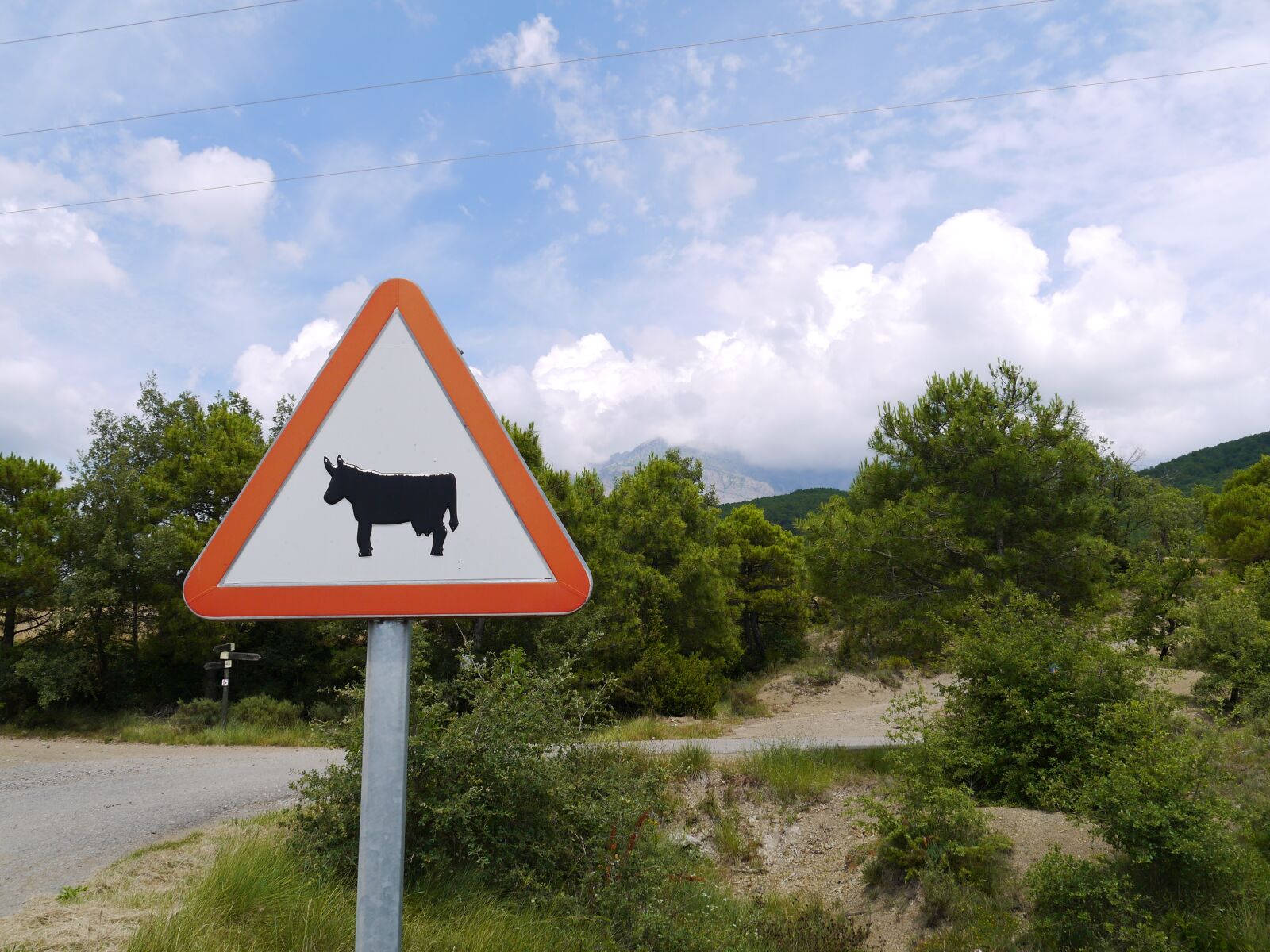 Panasonic Lumix DMC-GF5 sample photo. Spain, sign, bull photography