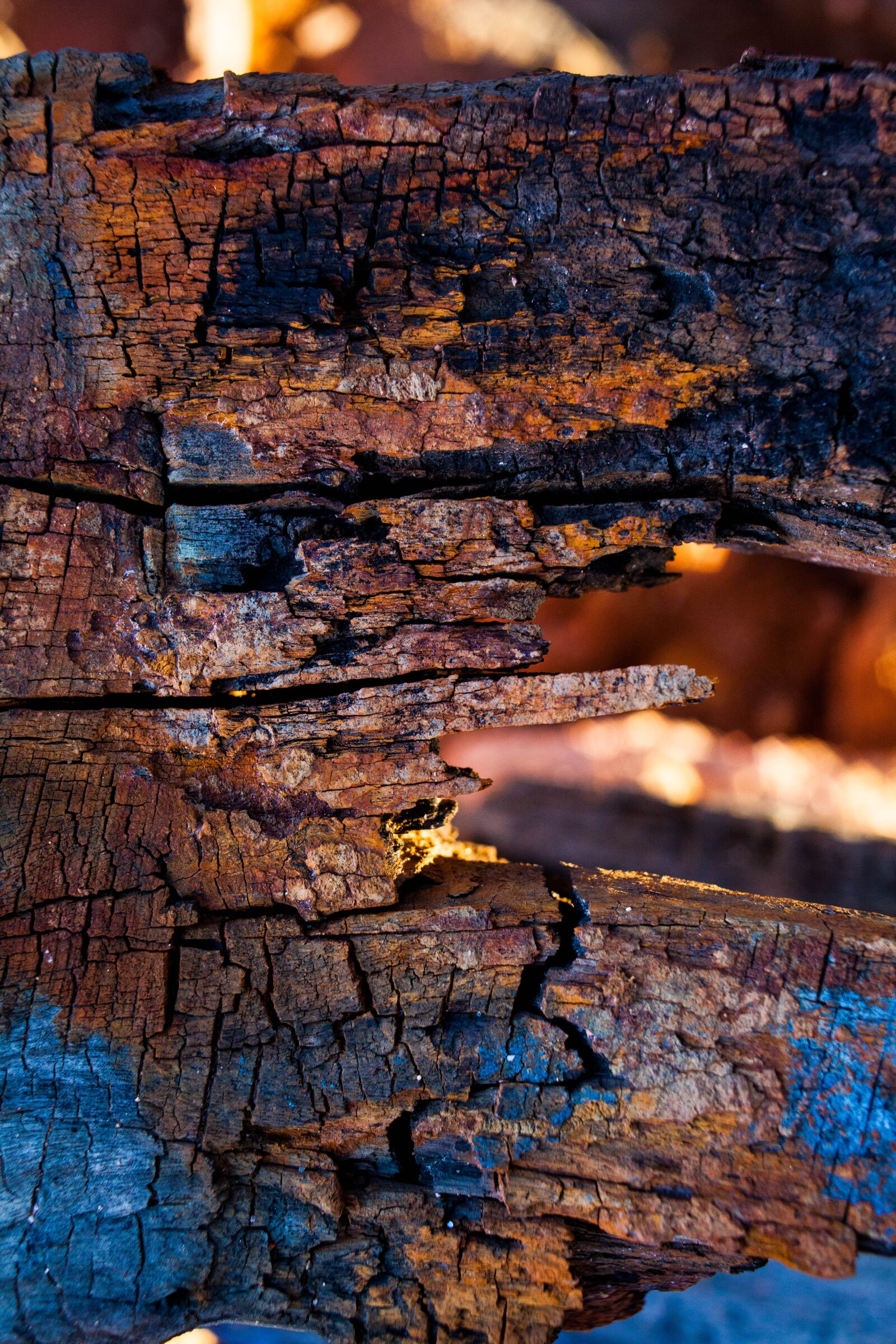 Canon EOS 5D Mark II + Canon EF 35mm F2 sample photo. Abstract, burnt, blue photography