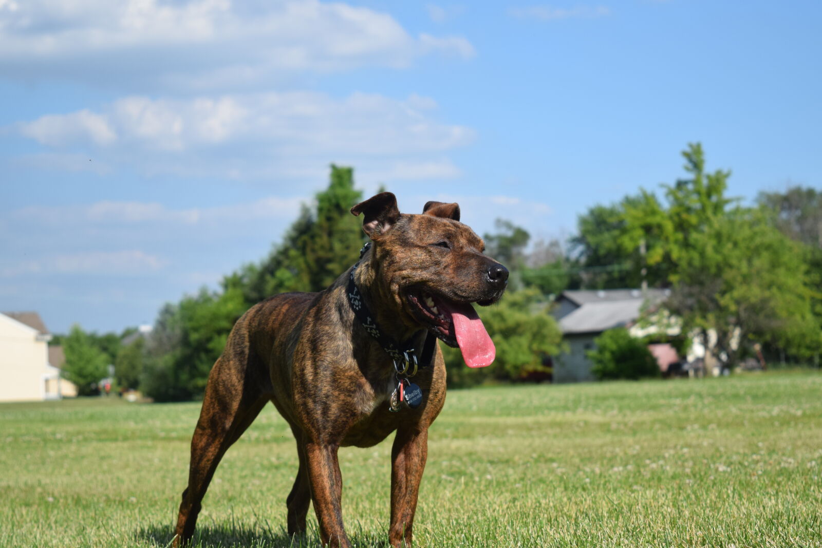 Nikon D3300 sample photo