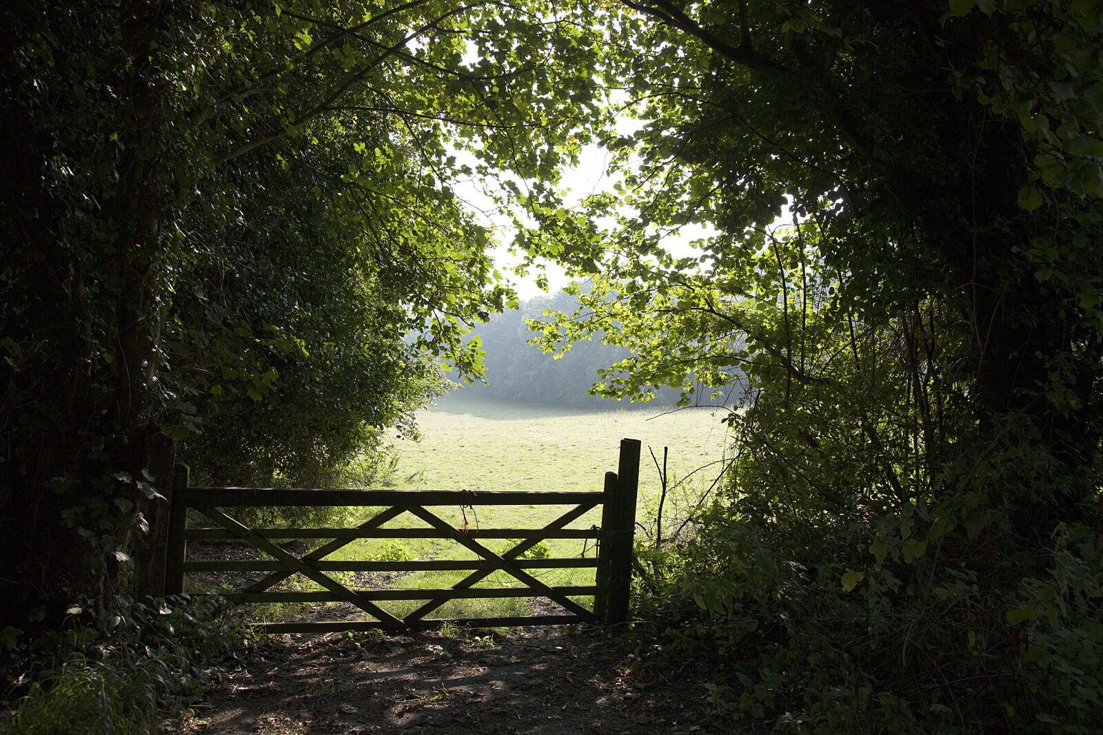 Canon EOS 5D Mark II sample photo. Gate, field, bush photography