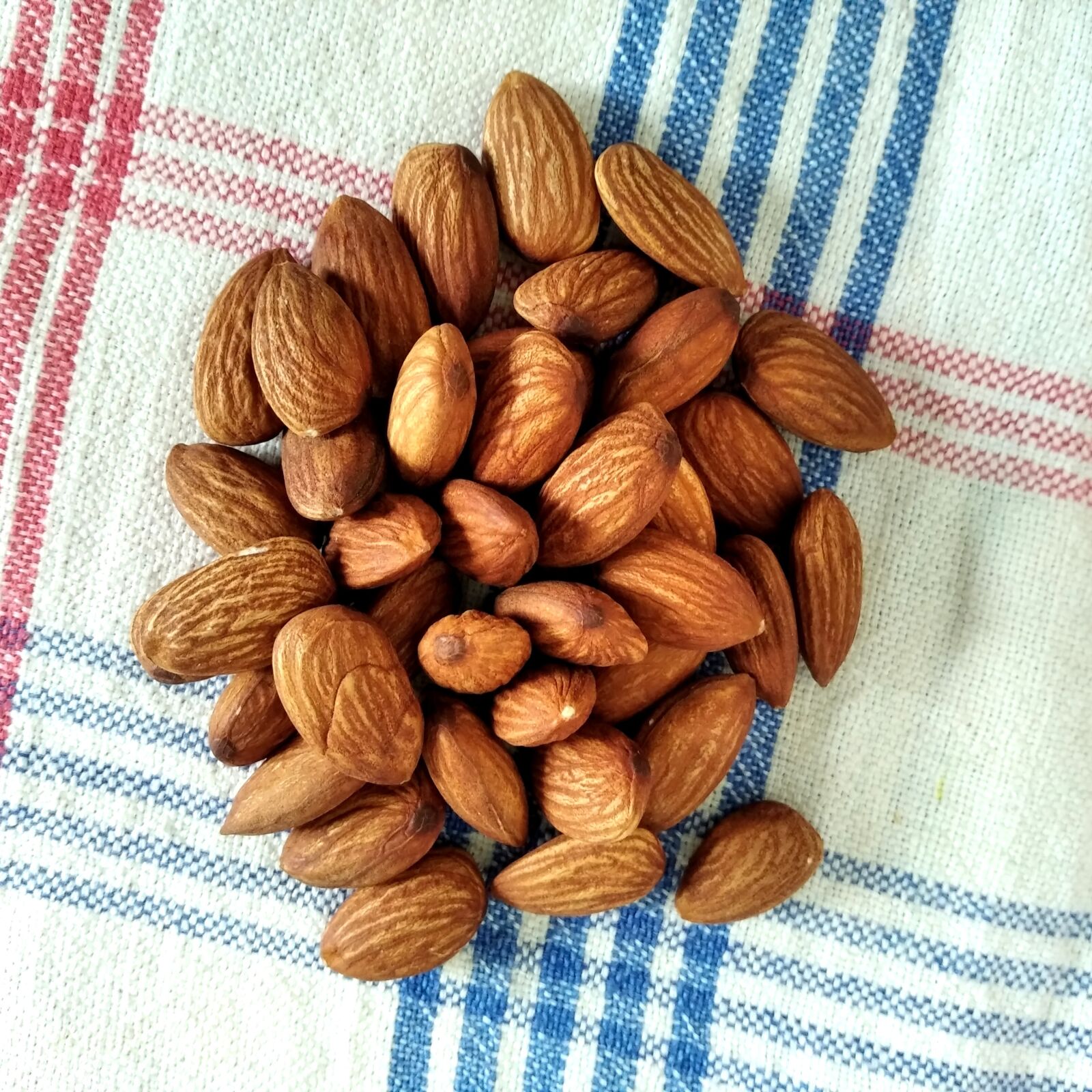 Xiaomi Redmi 7A sample photo. Almond, almonds, badam photography