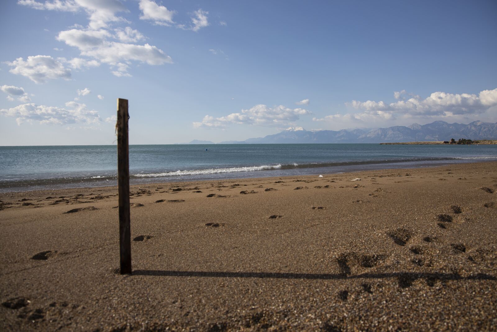 Canon EOS R sample photo. Footprint, beach, marine photography