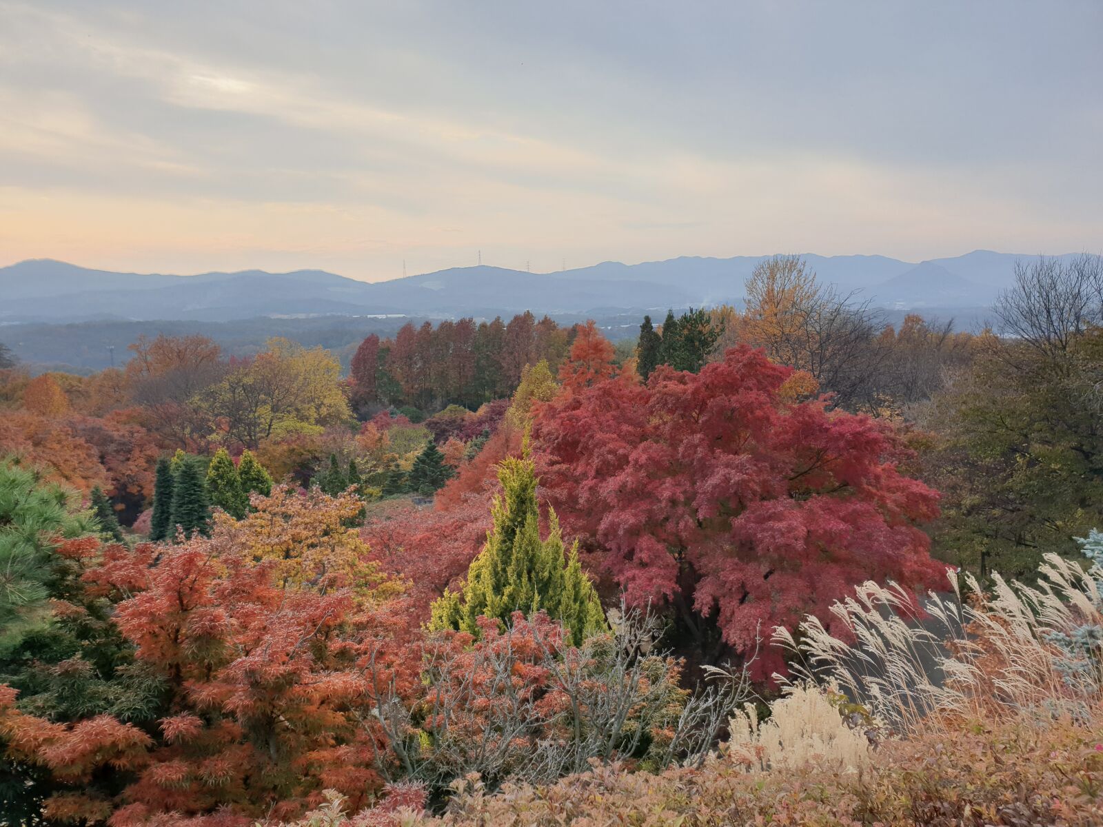 Samsung Galaxy Note9 sample photo. Landscape, mountain, foliage photography