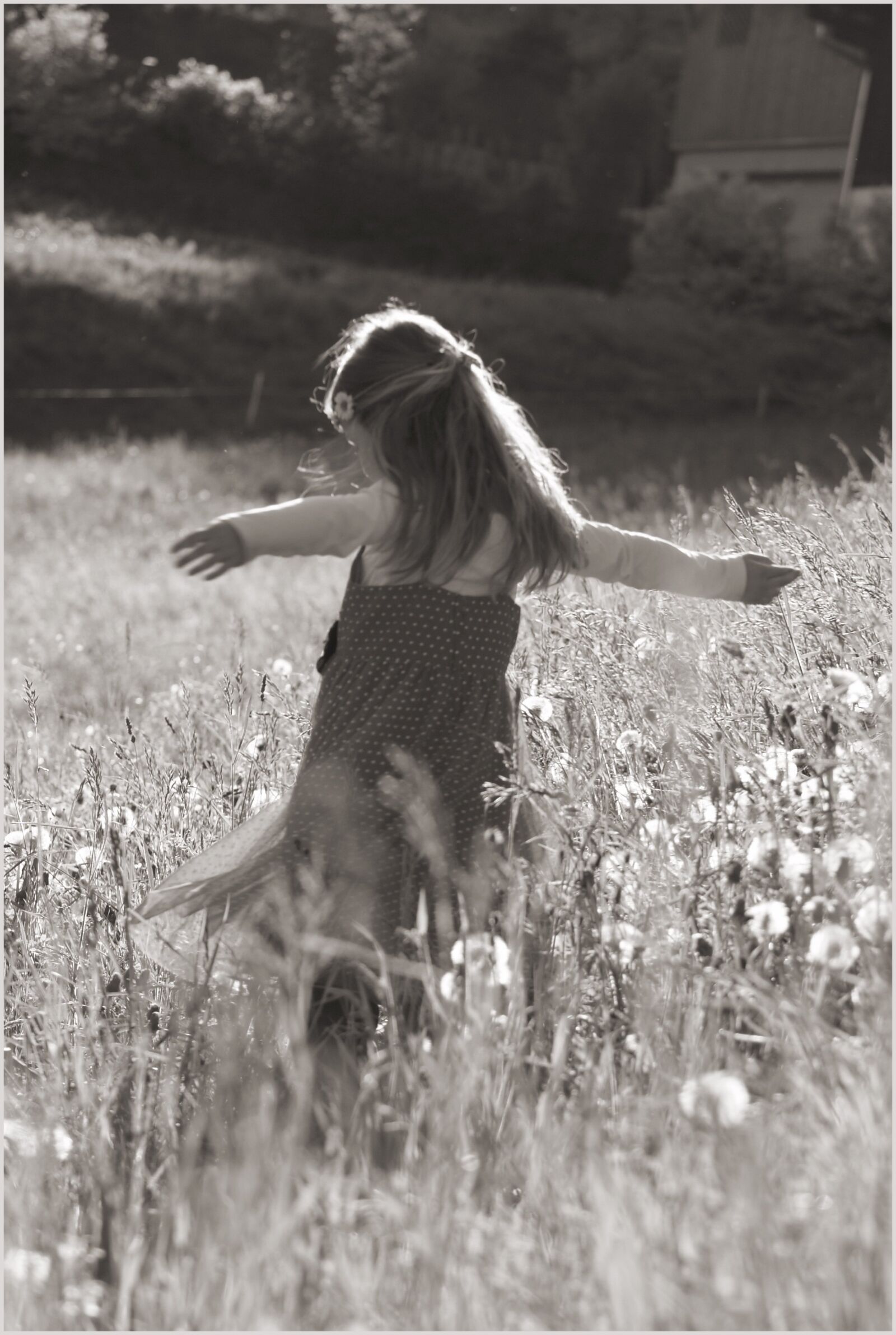 Sony Alpha DSLR-A300 sample photo. Meadow, luck, dance photography