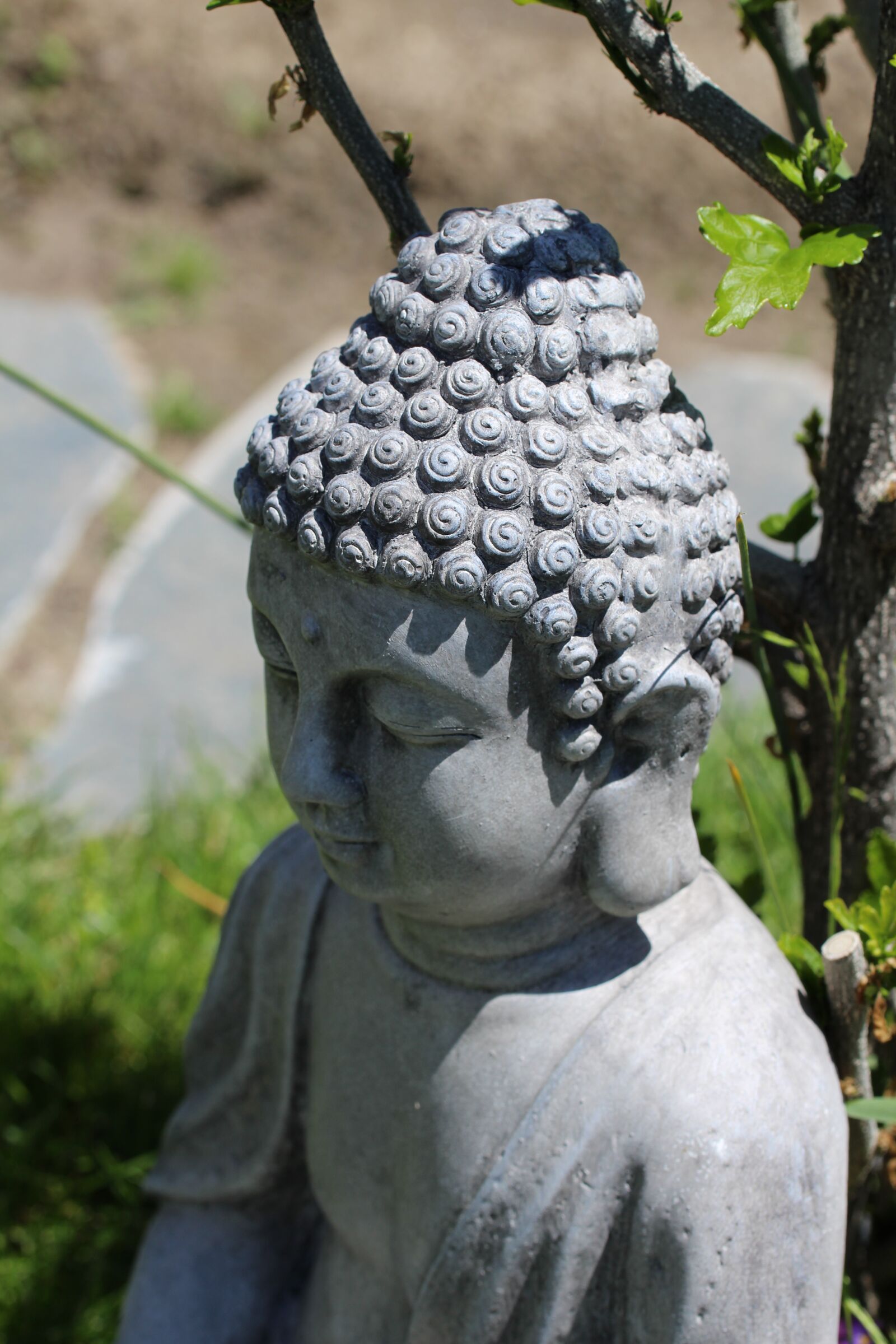 Canon EOS 700D (EOS Rebel T5i / EOS Kiss X7i) sample photo. Rest, force, buddha photography