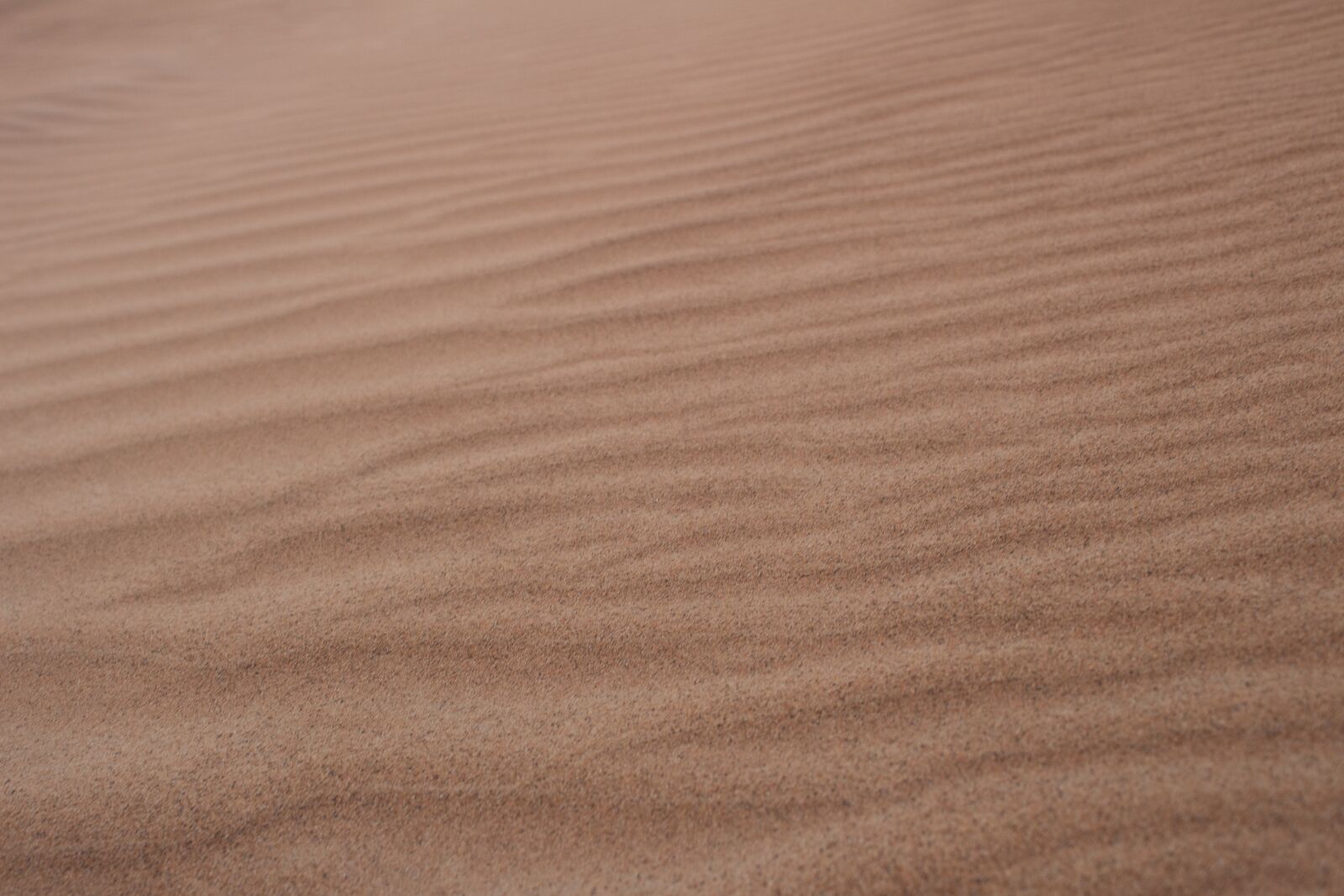 Canon EOS 700D (EOS Rebel T5i / EOS Kiss X7i) sample photo. Sand, dune, desert photography