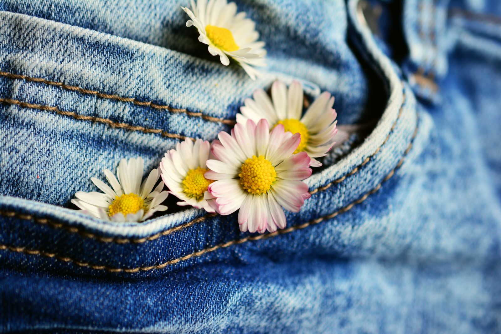 Nikon D5200 sample photo. Pocket, daisy, jeans photography