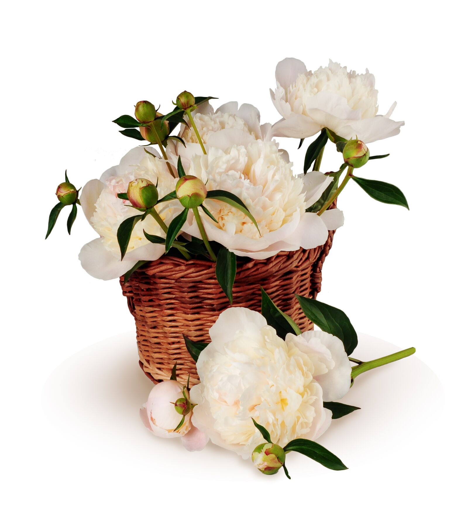 Nikon D5000 sample photo. Peonies, bouquet, basket photography