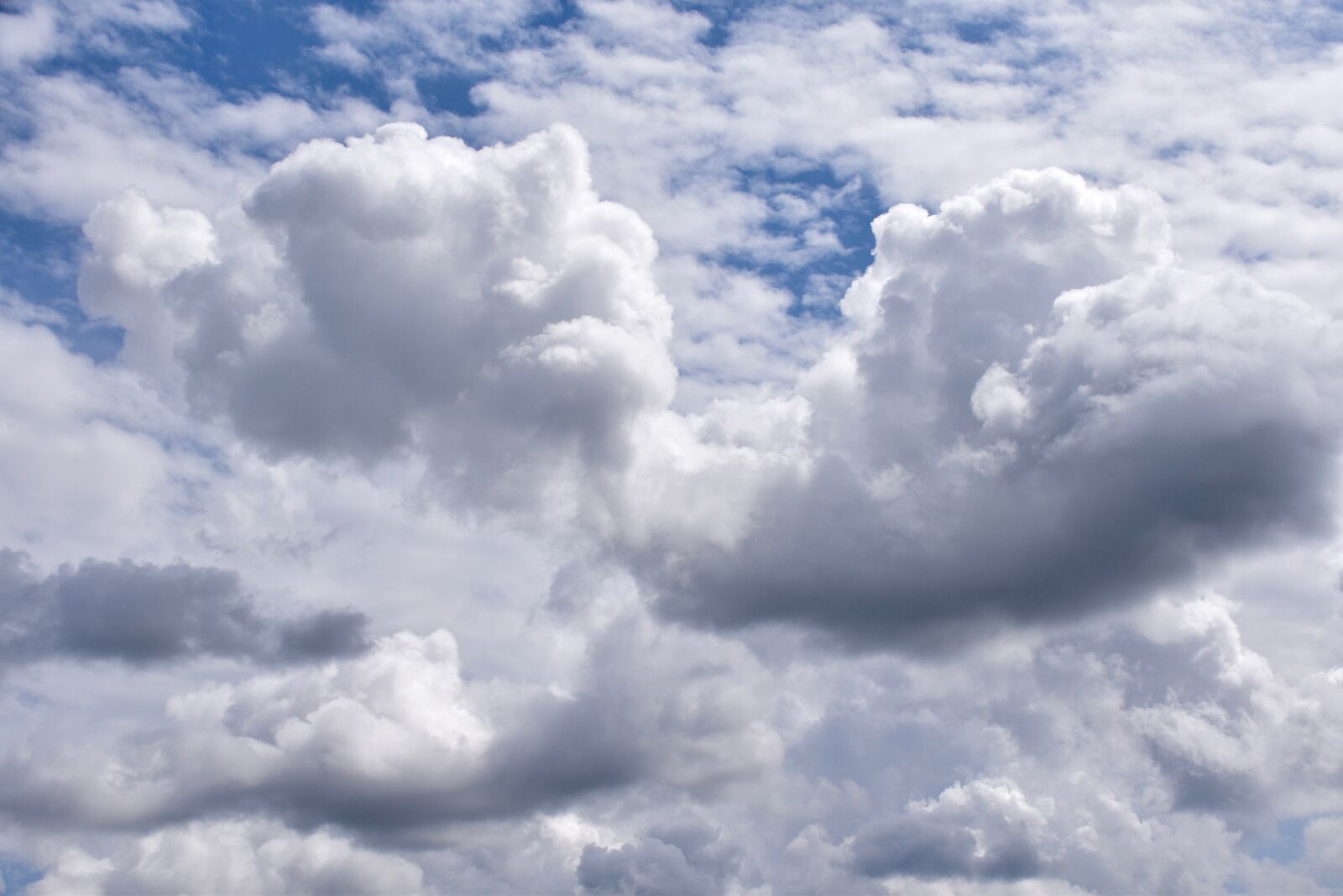 Nikon D5600 sample photo. Clouds, white clouds, cumulus photography