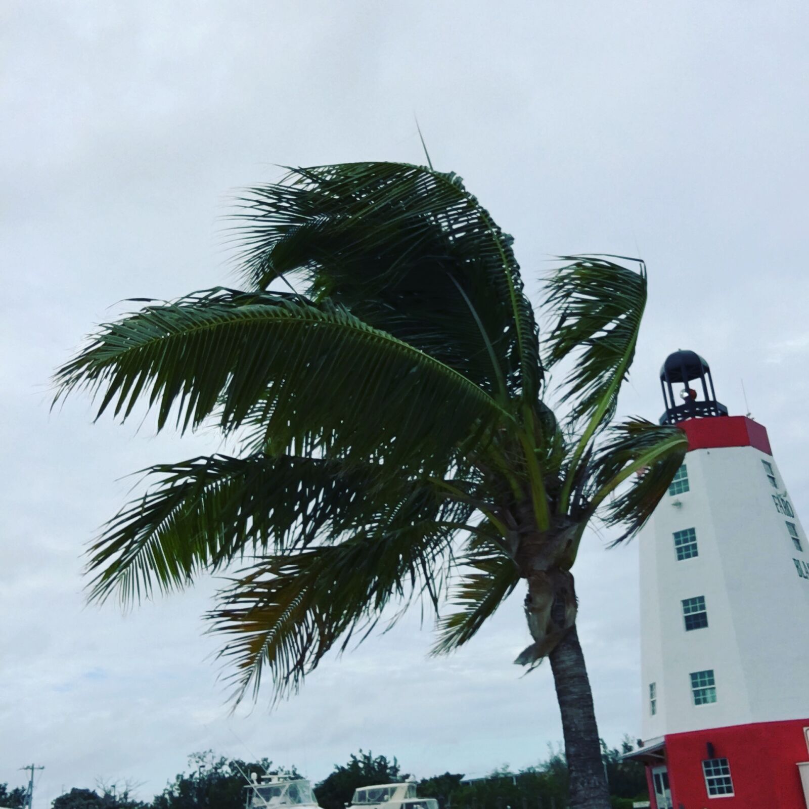 Apple iPhone 6s sample photo. Breeze, lighthouse, palm, tree photography