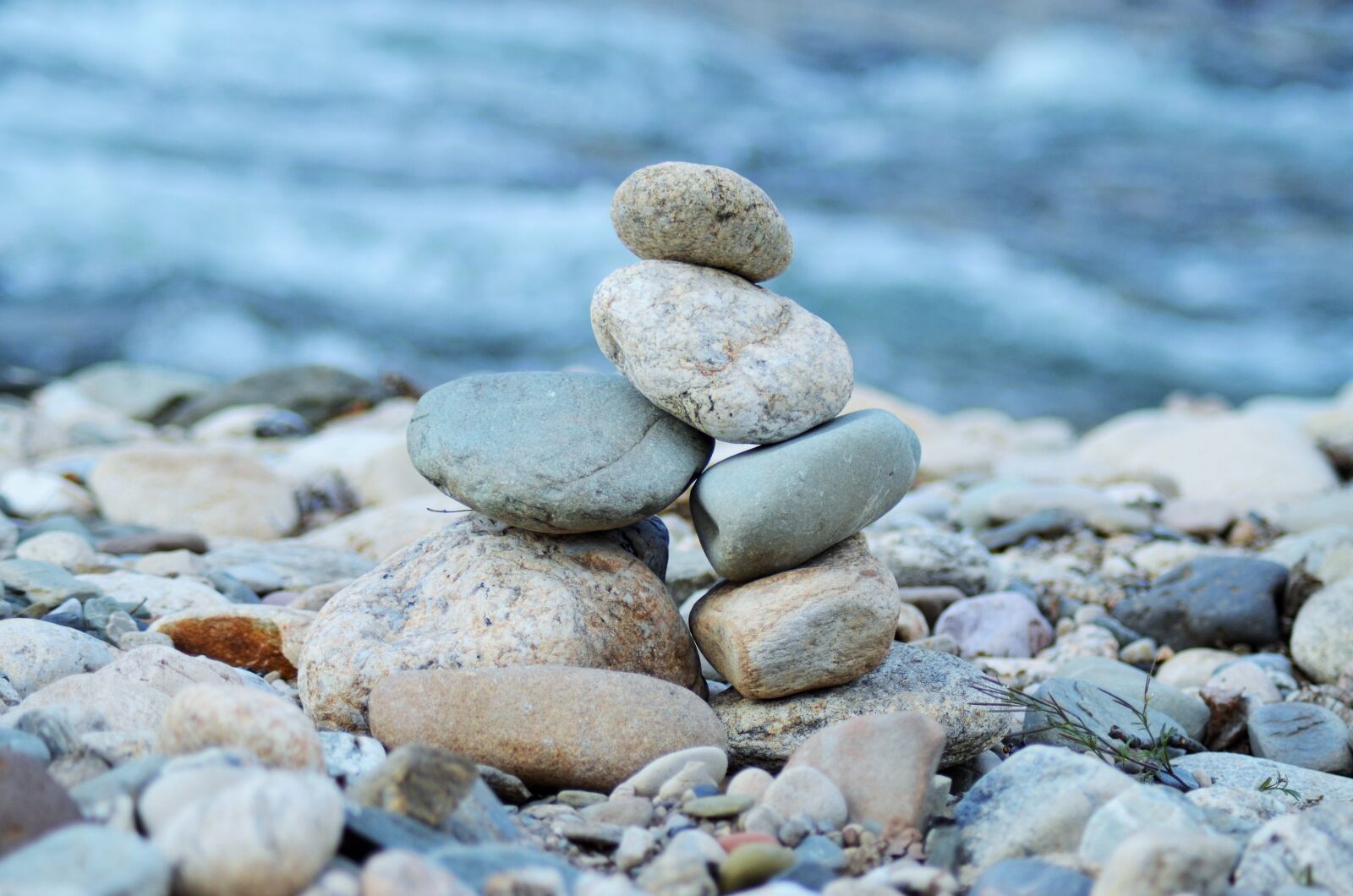 Nikon D5100 sample photo. Roller, zen, wild photography